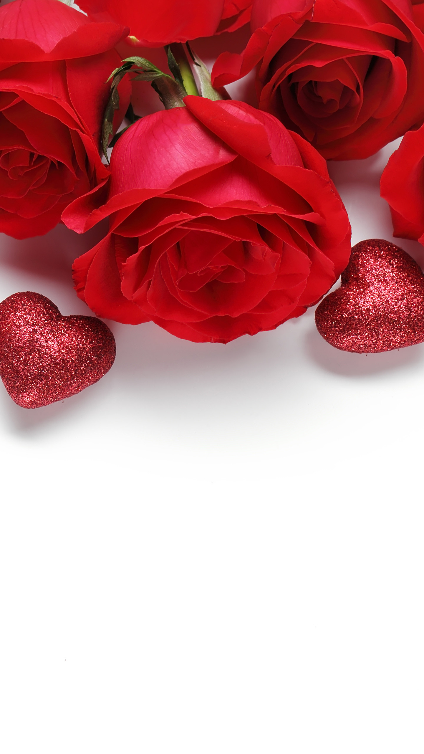 Wallpaper Valentines Day Heart Red Roses Flowers White background 1440×2560