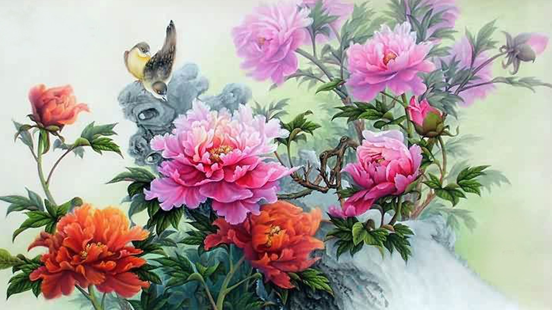 Peonies Tag – Flower Chinese Summer Painting Oriental Flowers Birds Bird  Peonies Desktop Hd for HD