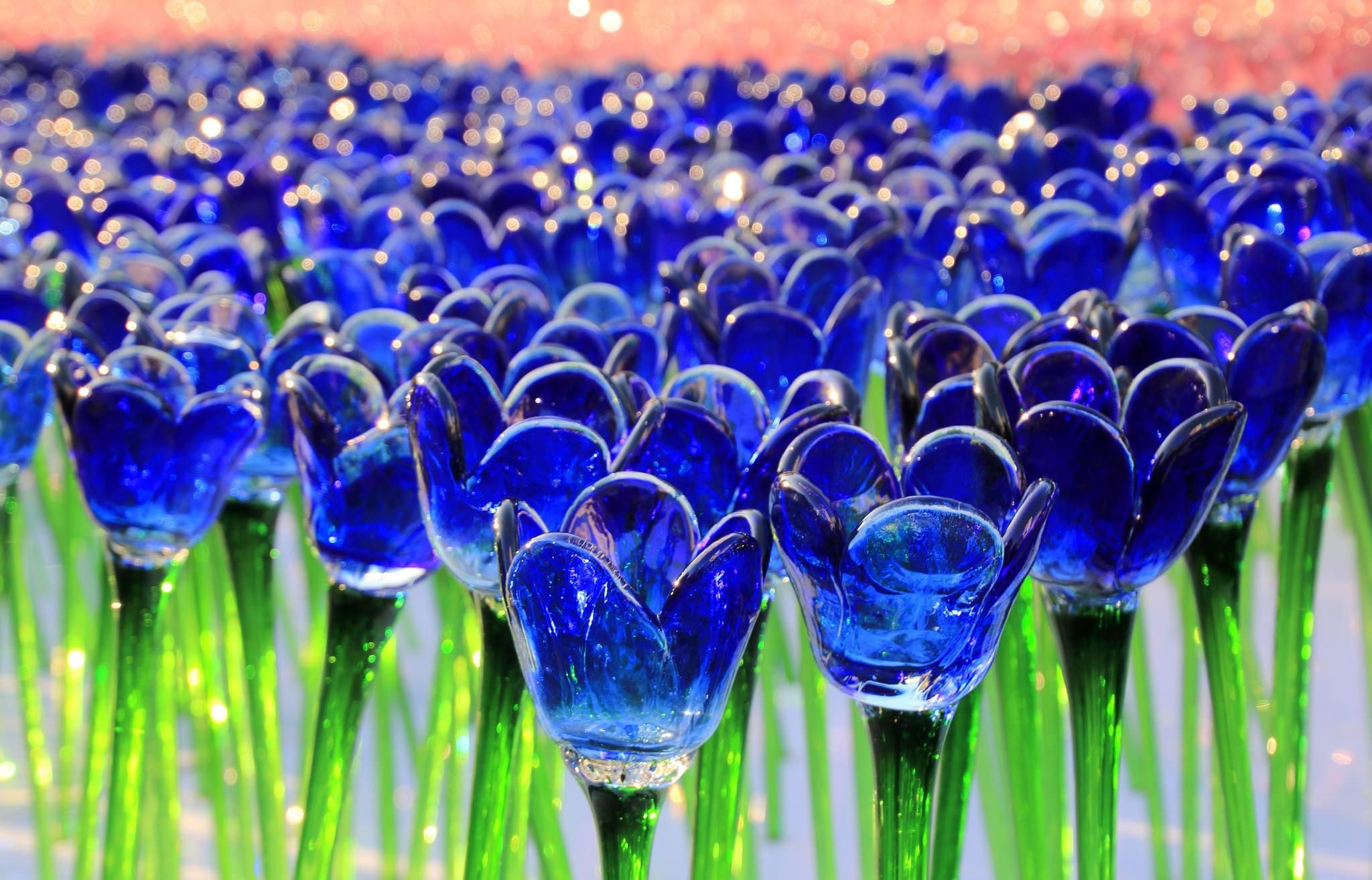 blue glass Tulips HD wallpapers