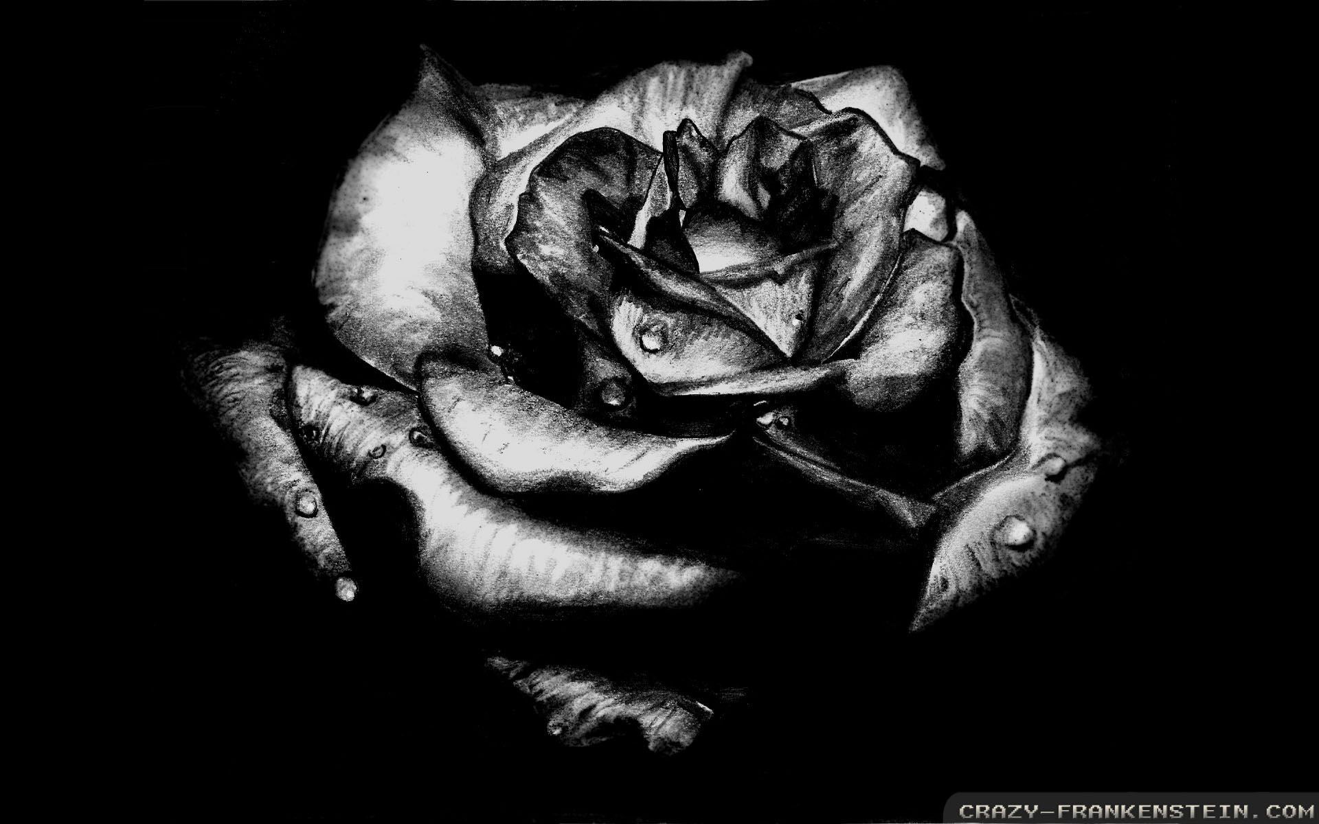 Featured image of post Gothic Dark Roses Wallpaper Here are only the best gothic roses wallpapers