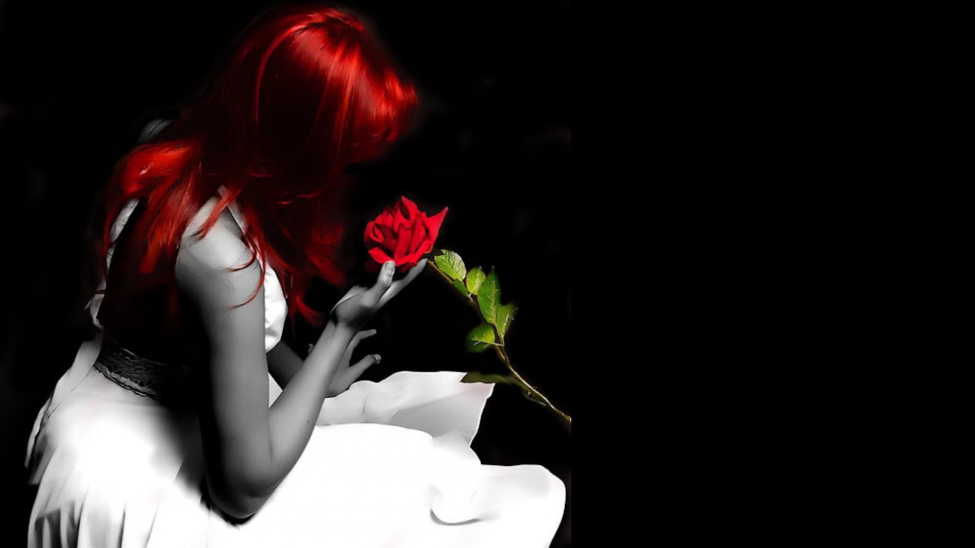 nice-wallpapers-hd-free-red-rose