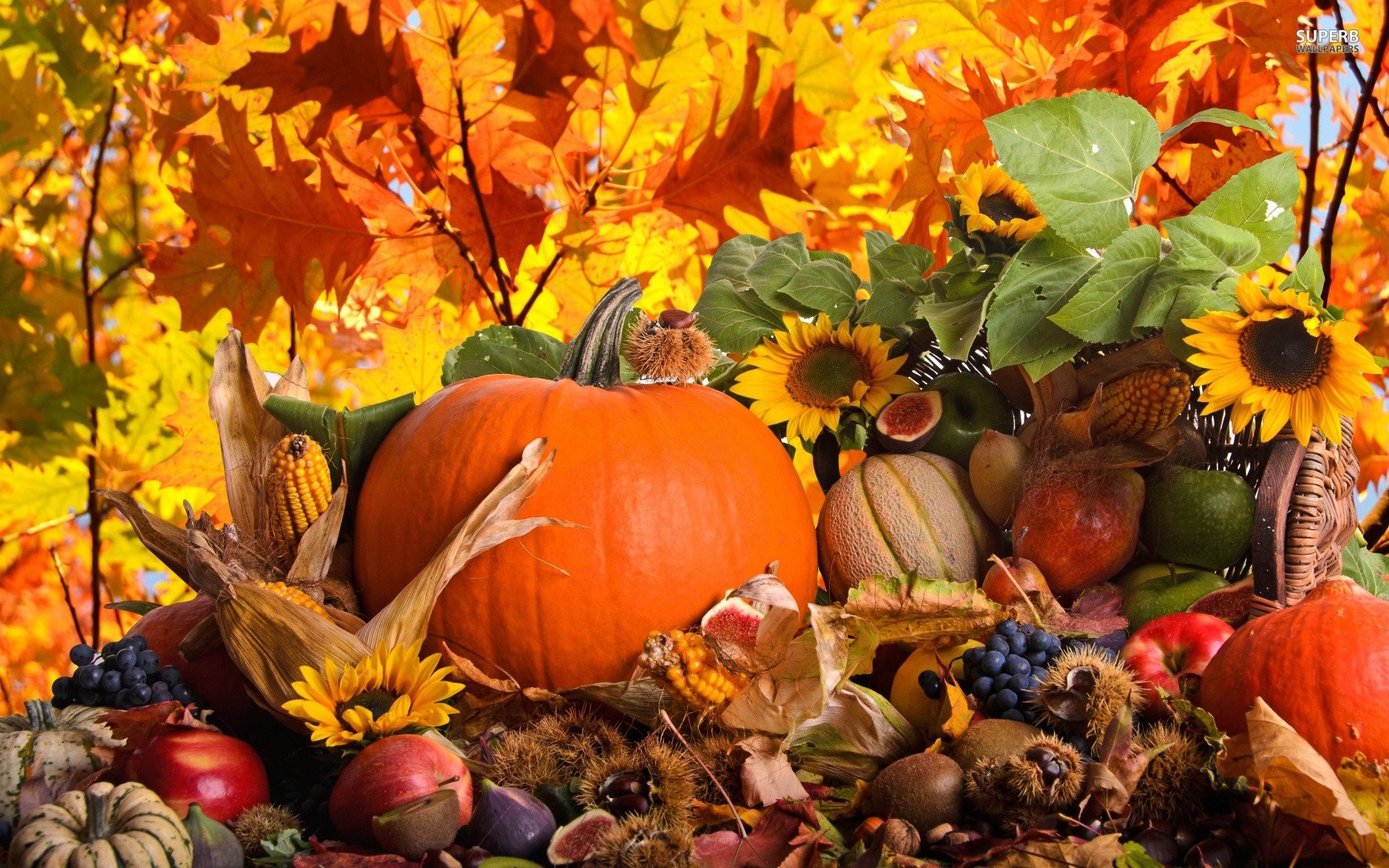 The Flavor of Fall: Pumpkin – Jon Taffer