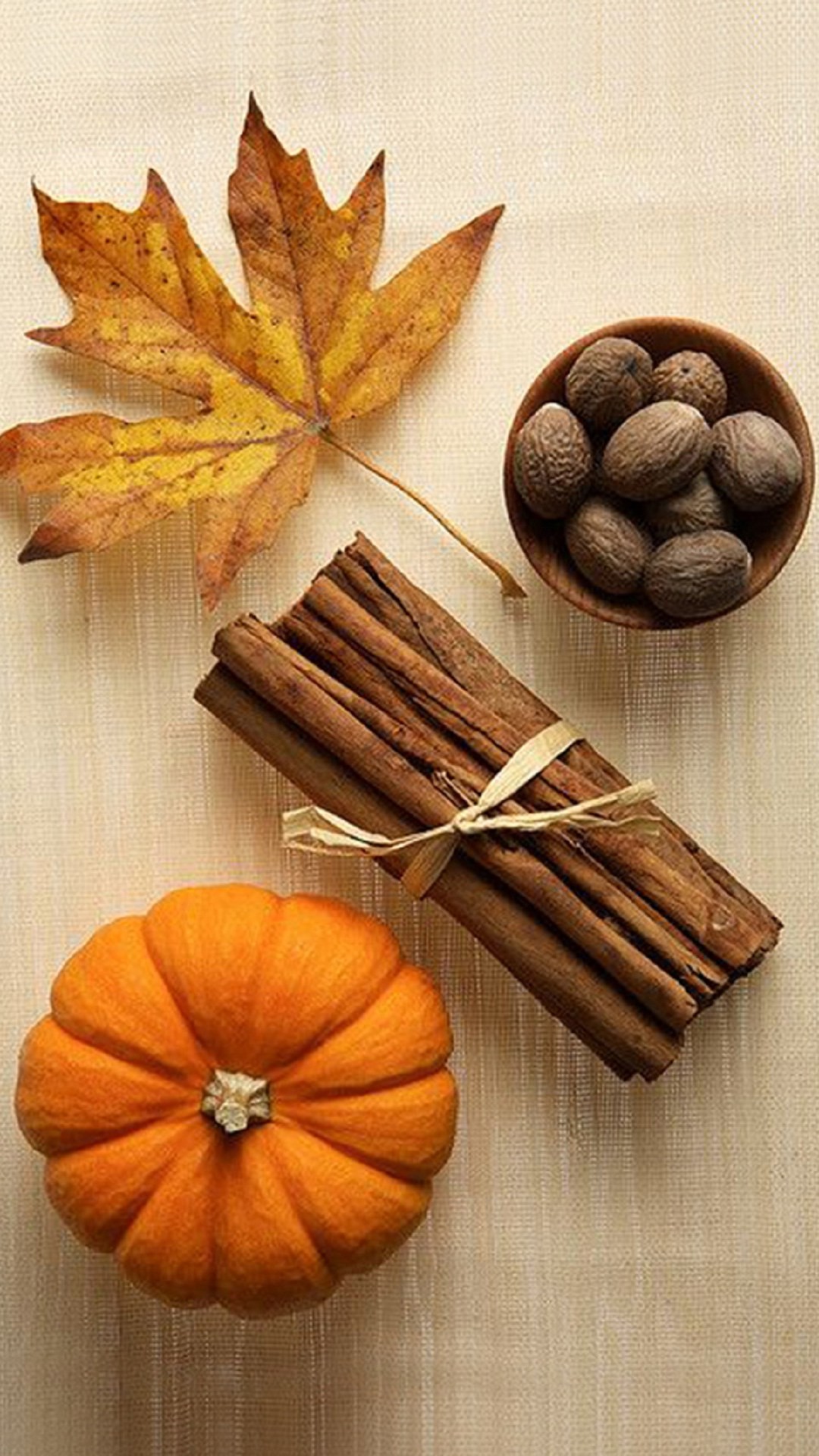 Pumpkin Spices – Tap to see more of the top colorful Autumn wallpapers