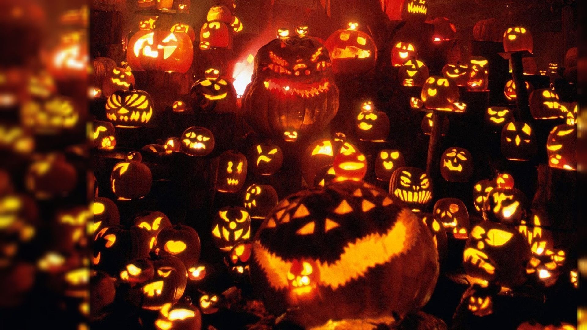 Download Pumpkin Halloween Photo