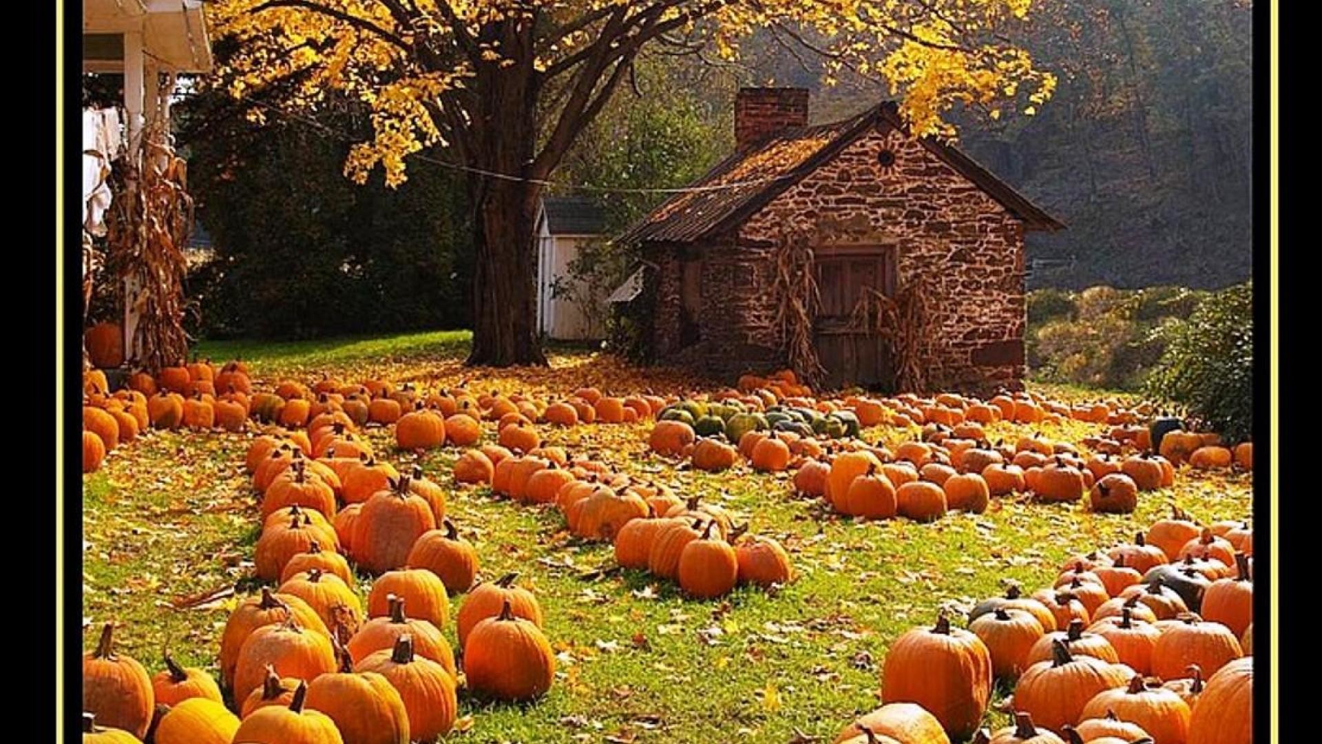Autumn Lights Picture: Autumn Harvest Desktop Wallpapers