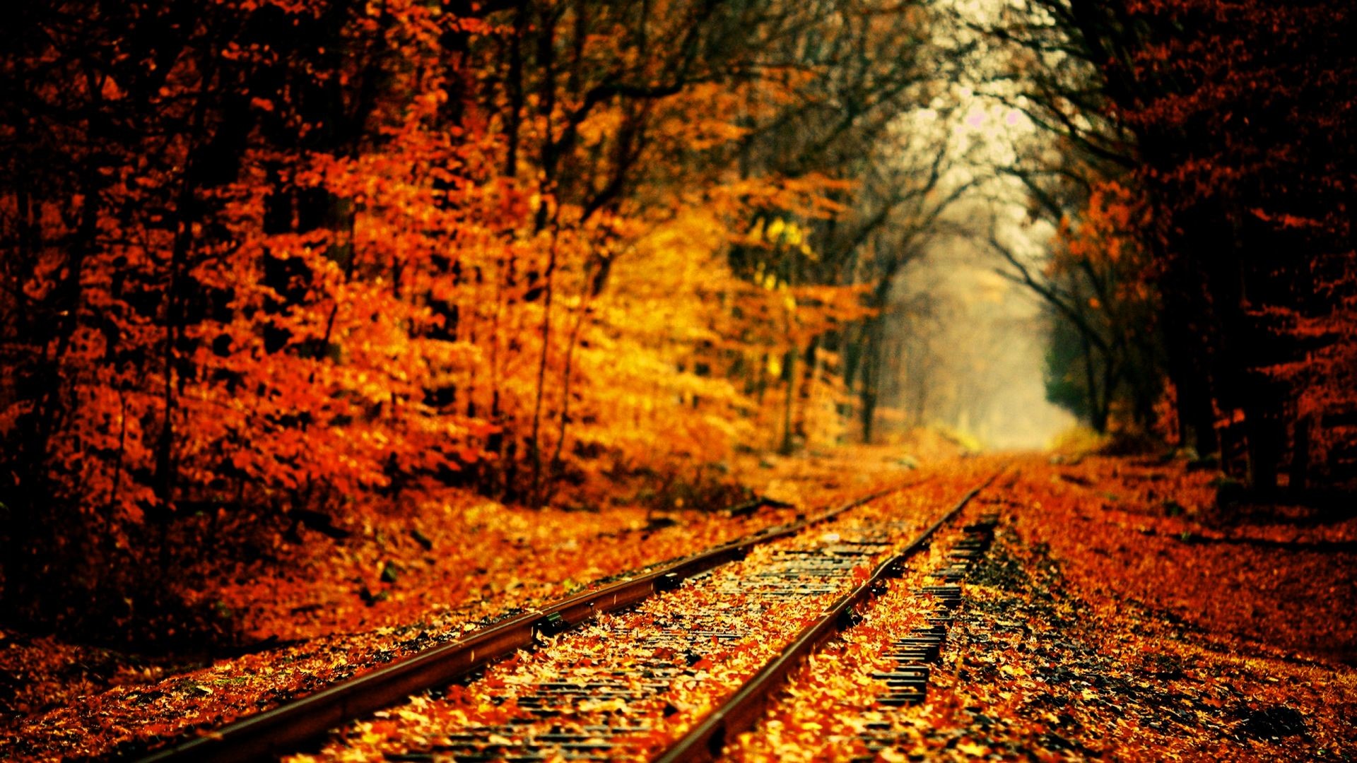 High Definition Fall Wallpapers