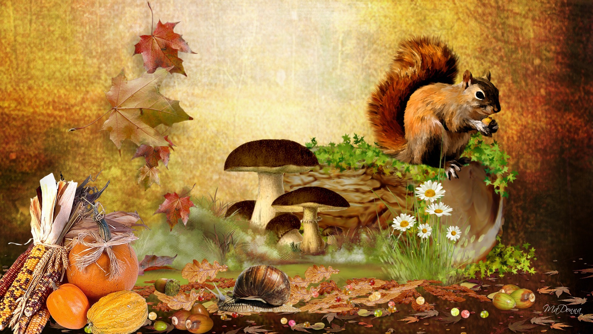 Fall with Animal HD Desktop Background Wallpapers 4034 – Amazing