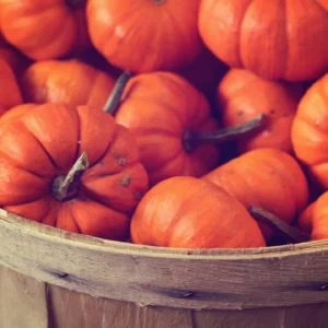 Fall Wallpapers With Pumpkins