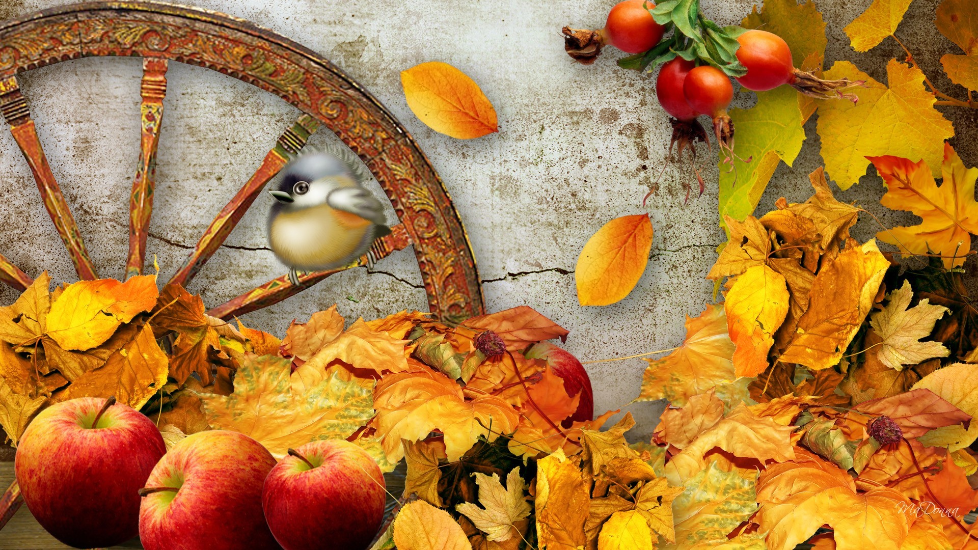 Fall Harvest Wallpaper Mobile