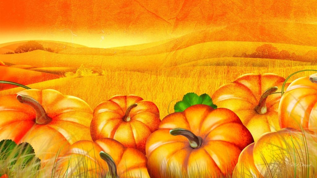 64+ Pumpkin Backgrounds