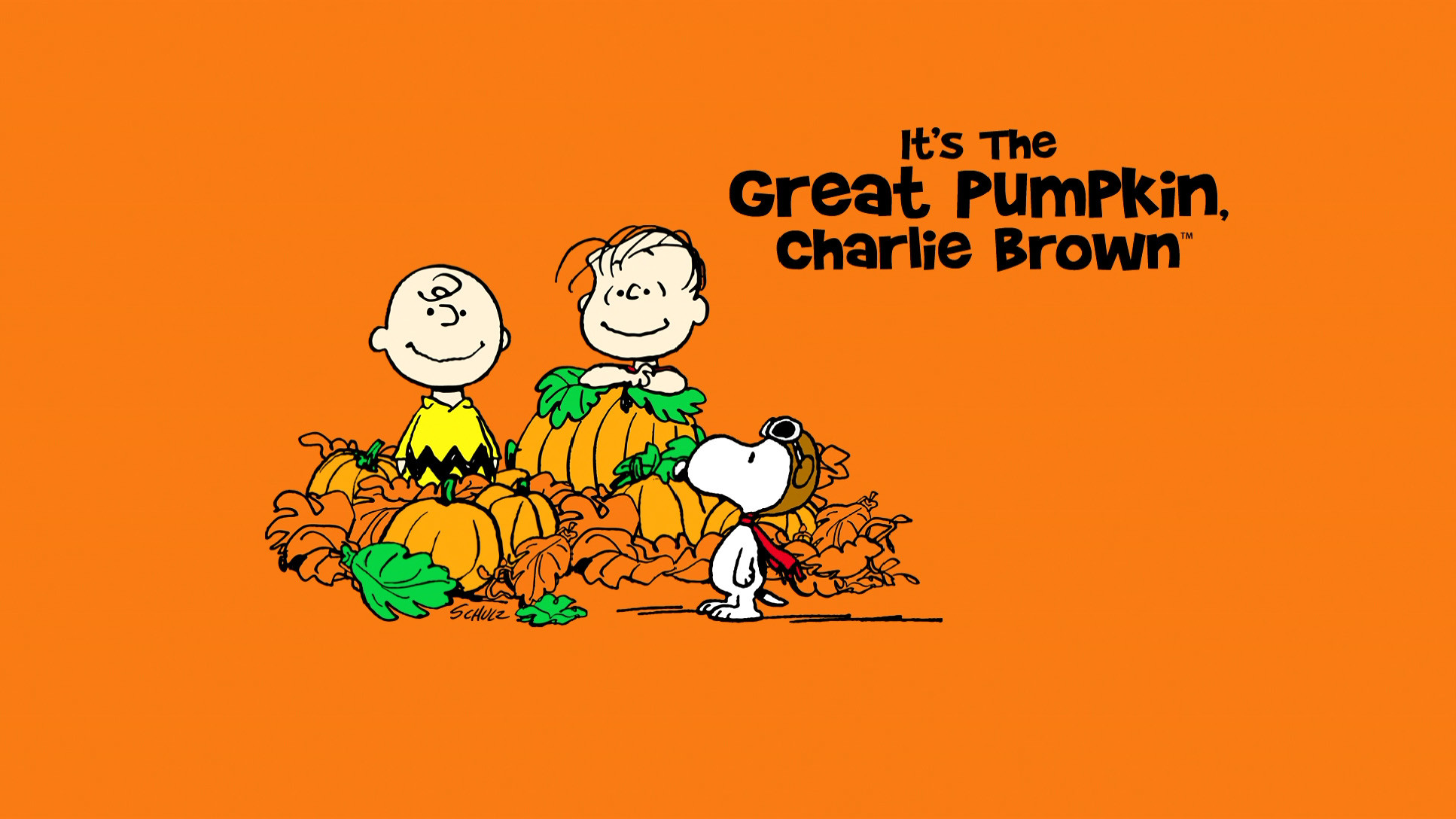 Great Pumpkin Charlie Brown Background HD