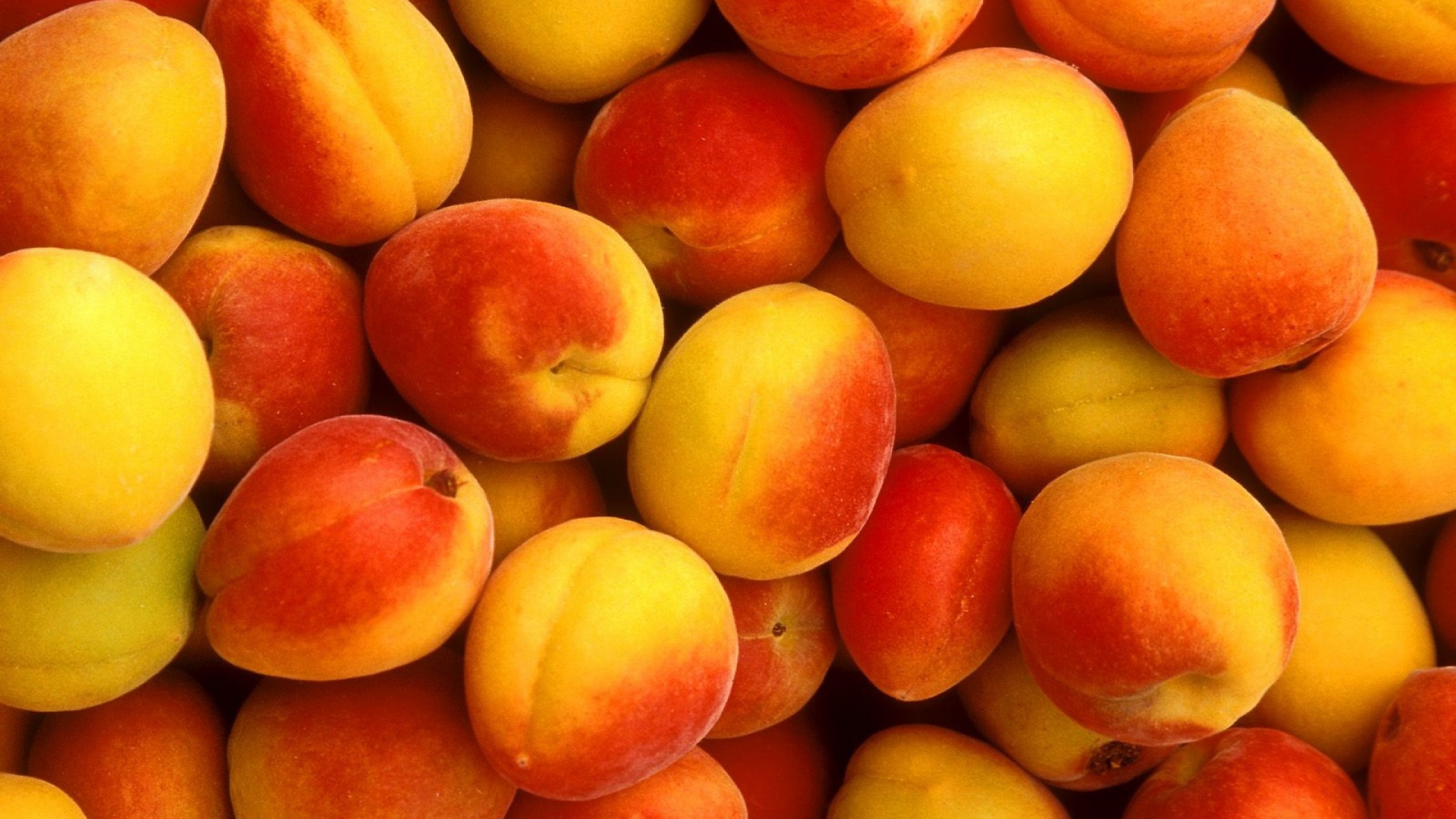 Wallpaper apricot, fruit, sweet