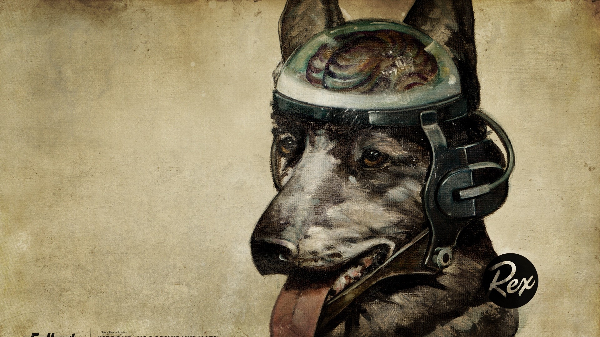 Wallpaper fallout, quote, dog, look