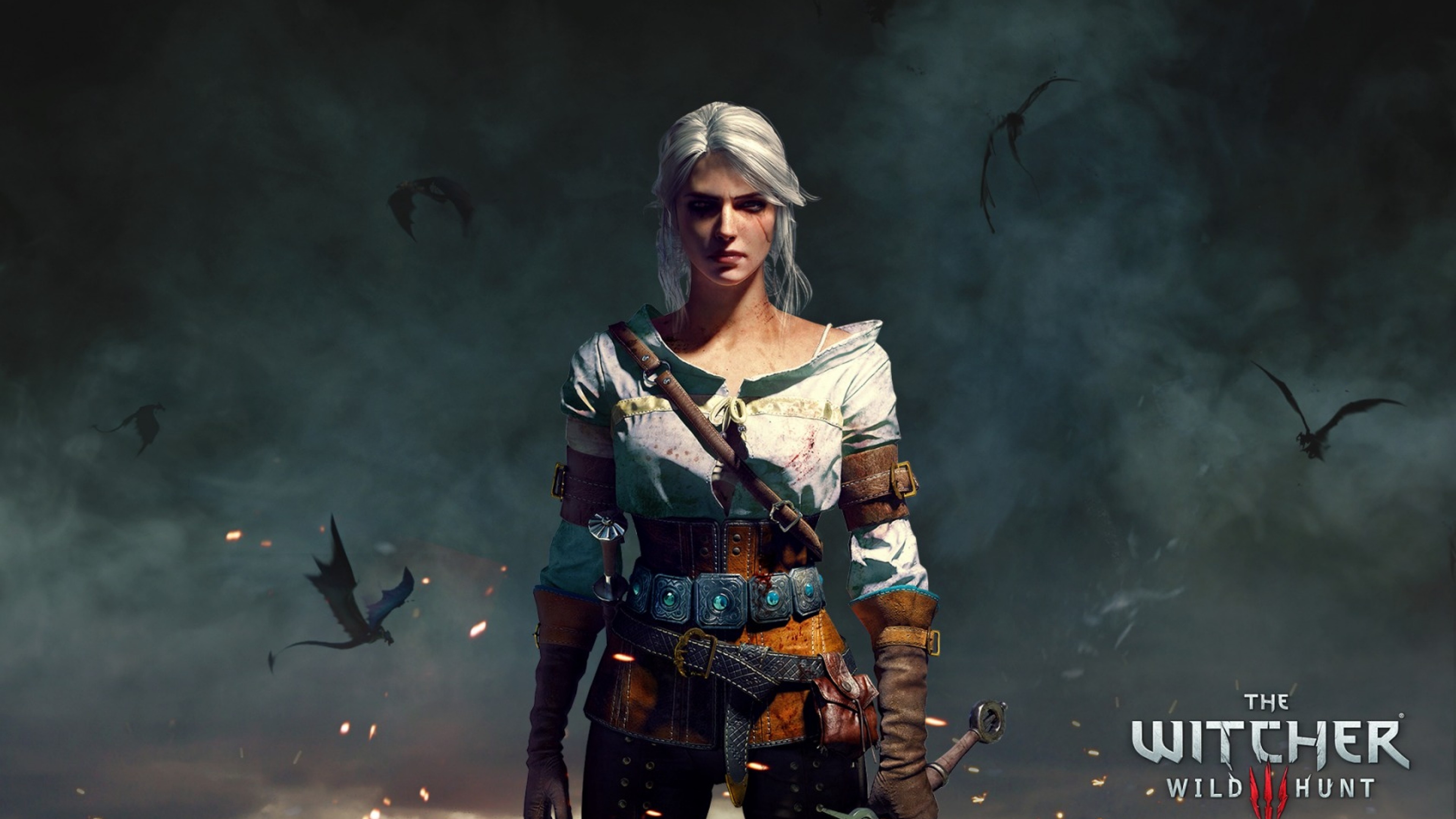 Wallpaper the witcher 3, wild hunt, character
