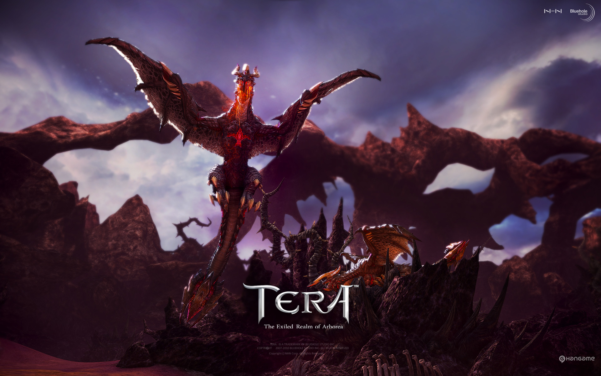 Video Game – Tera Wallpaper