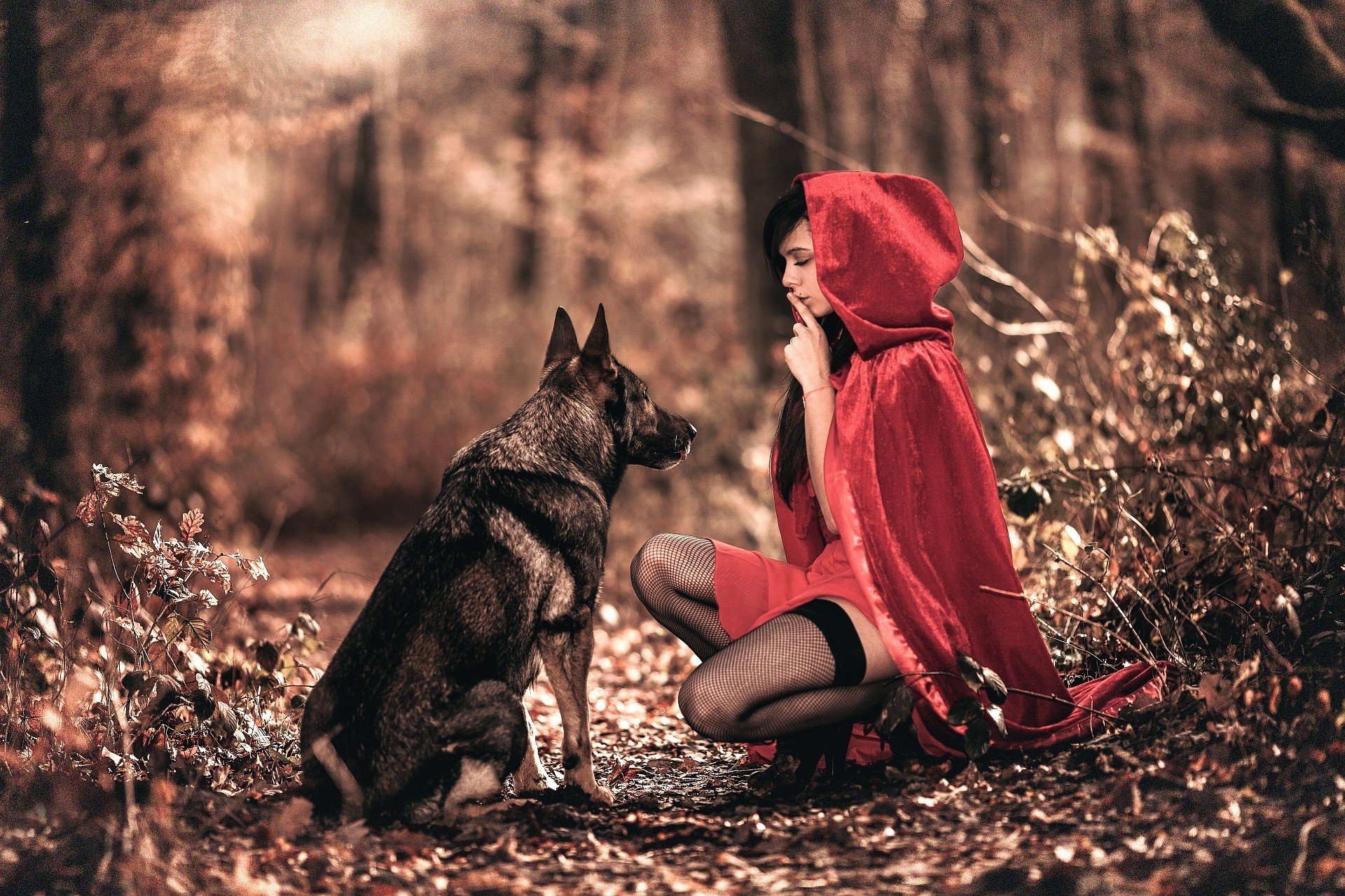 Little Red Riding Hood Wallpapers Hd. 