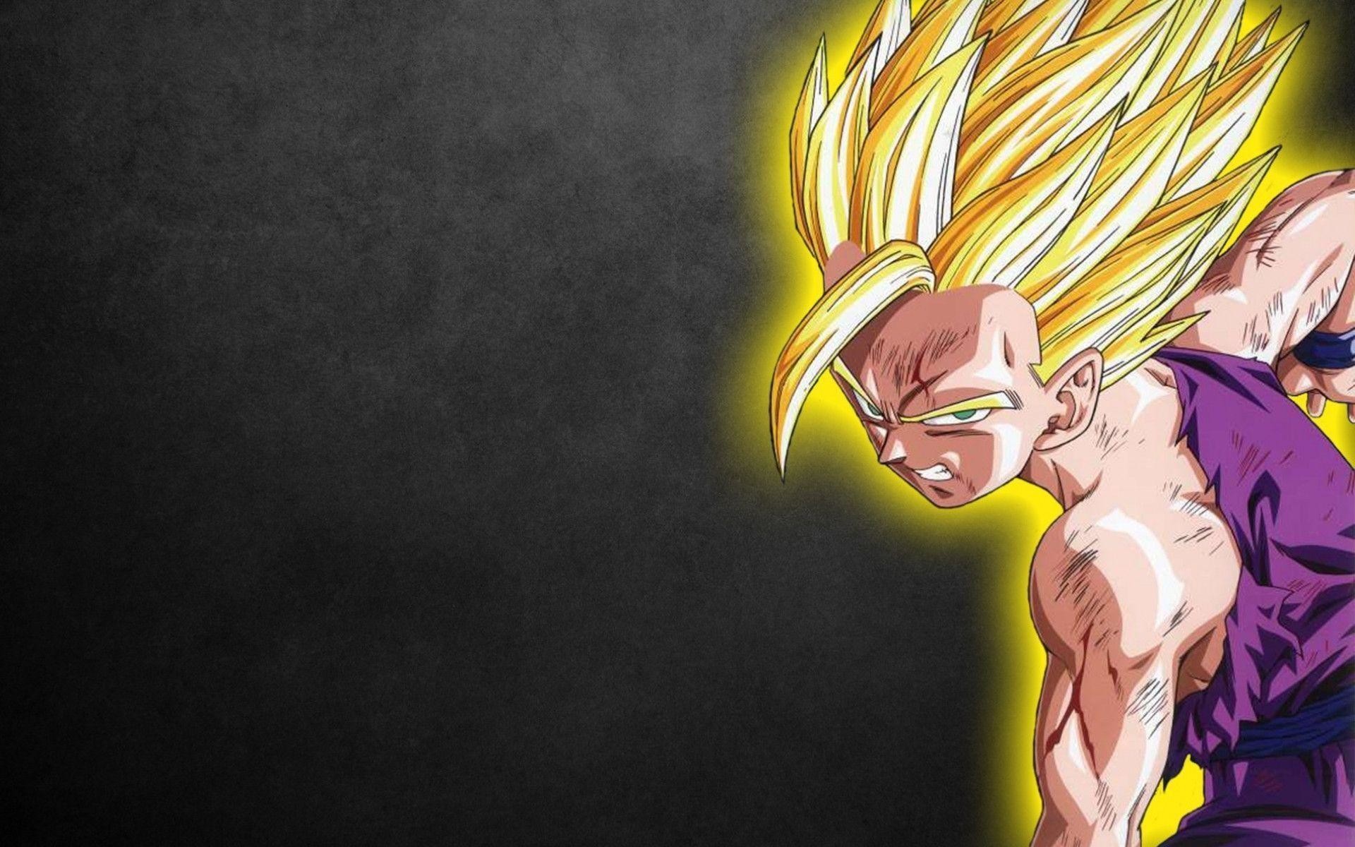 Wallpaper Son Gohan Hight Quality Idiot Dollar