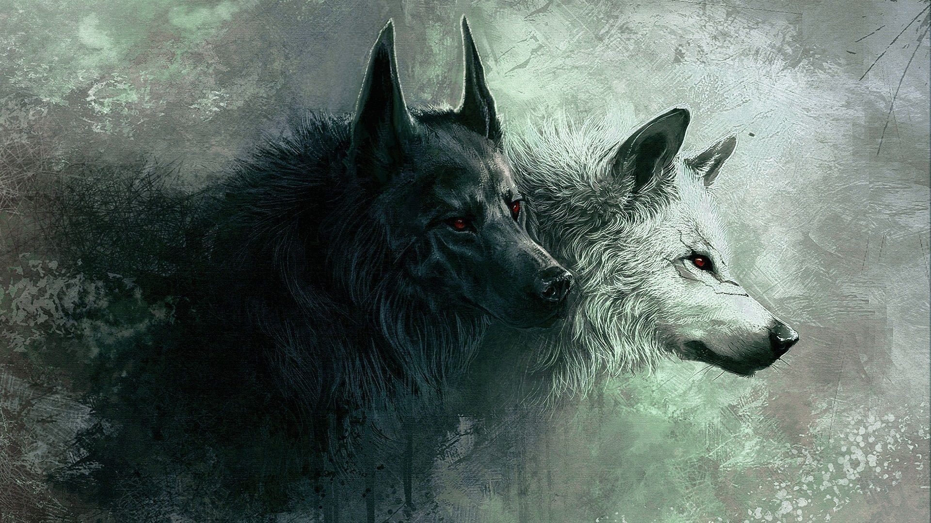 Search Results for wolf angry wallpaper Adorable Wallpapers