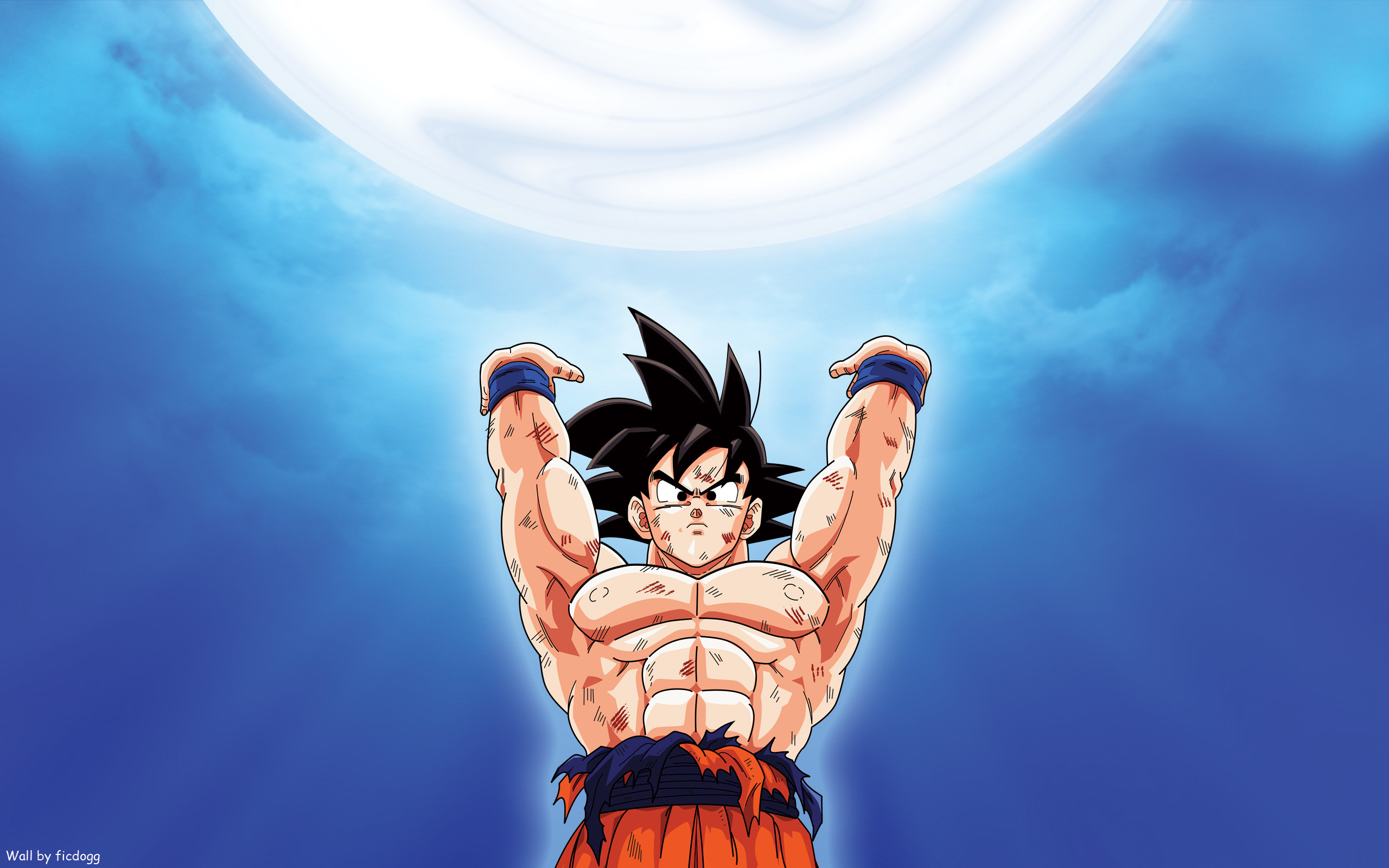 HD Wallpaper Background ID310795. Anime Dragon Ball Z