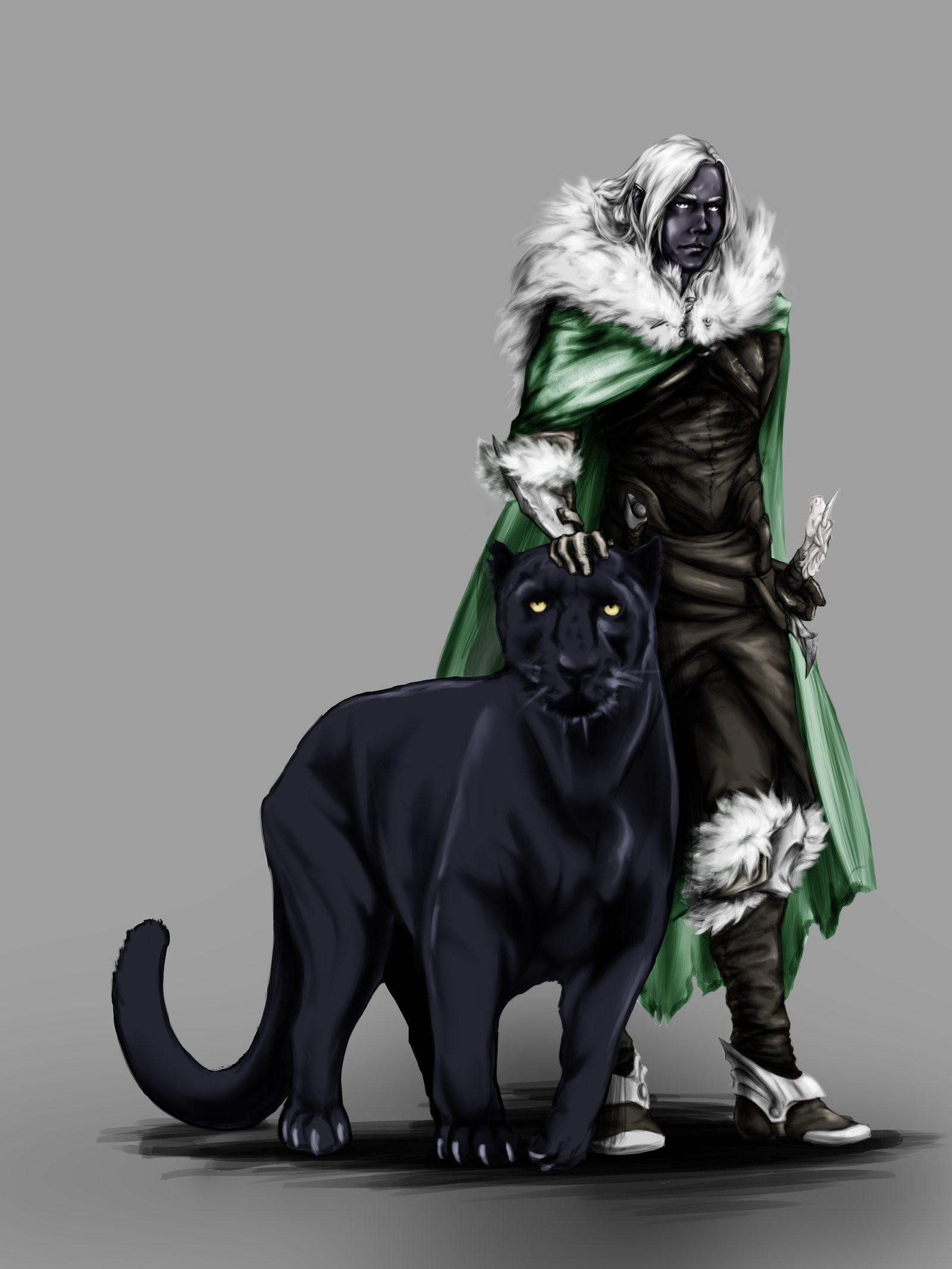 Drizzt DoUrden Gwenhwyvar by Manticore85