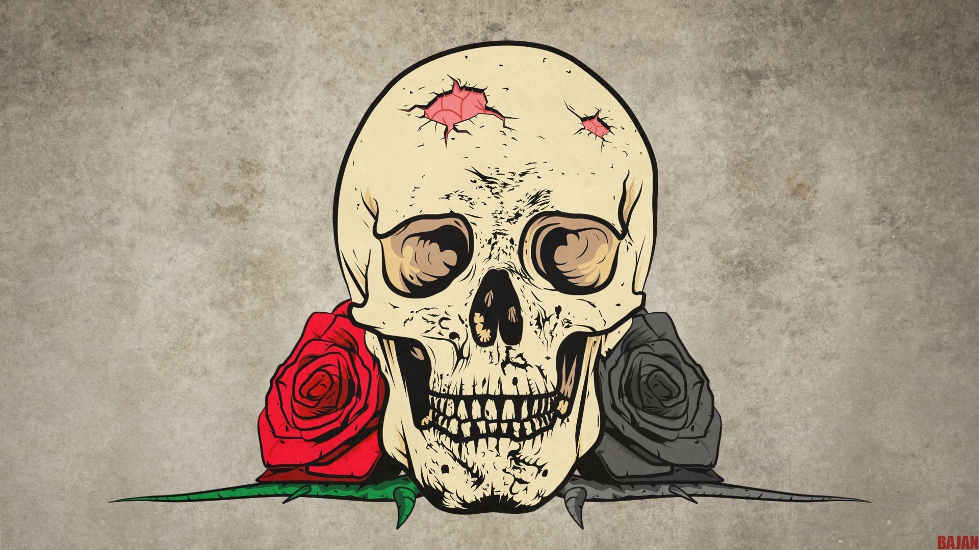 Skull HD Wallpaper