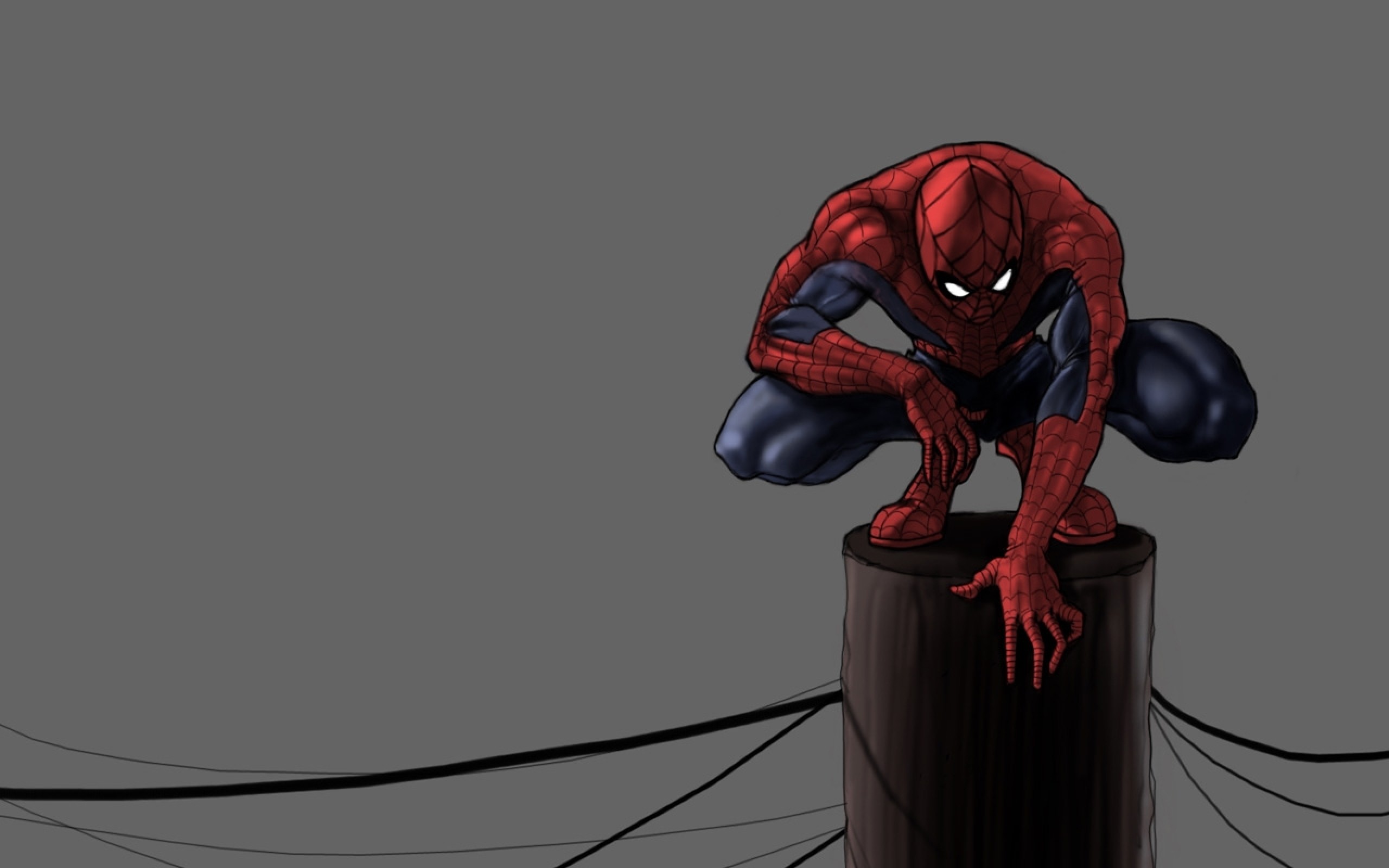 Cartoon Spiderman Squat on a Pole HD Grey Wallpaper Widescreen