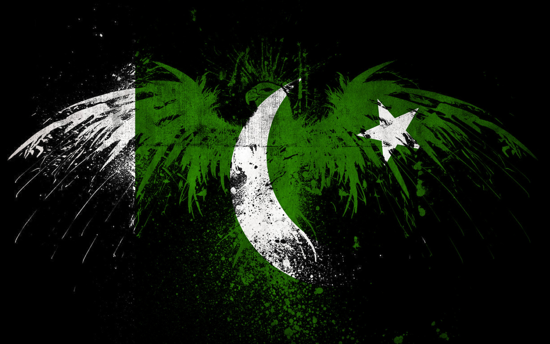 Top 25 best Pakistan flag wallpaper ideas on Pinterest Pakistan flag images, Pakistan and Lahore pakistan