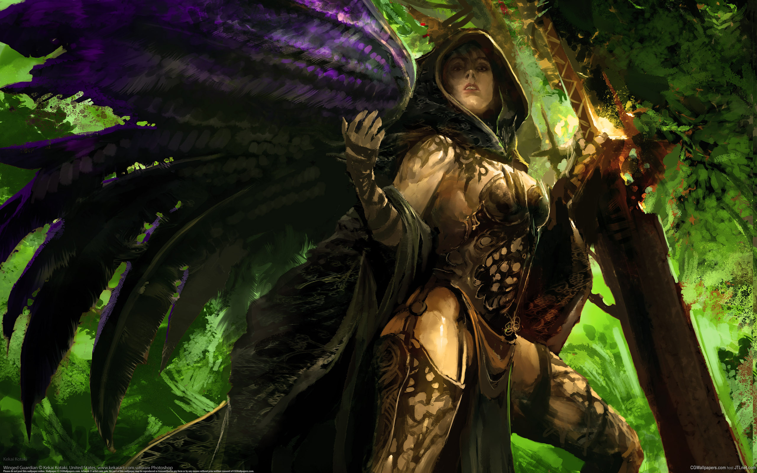 Video Game – Guild Wars 2 Wallpaper