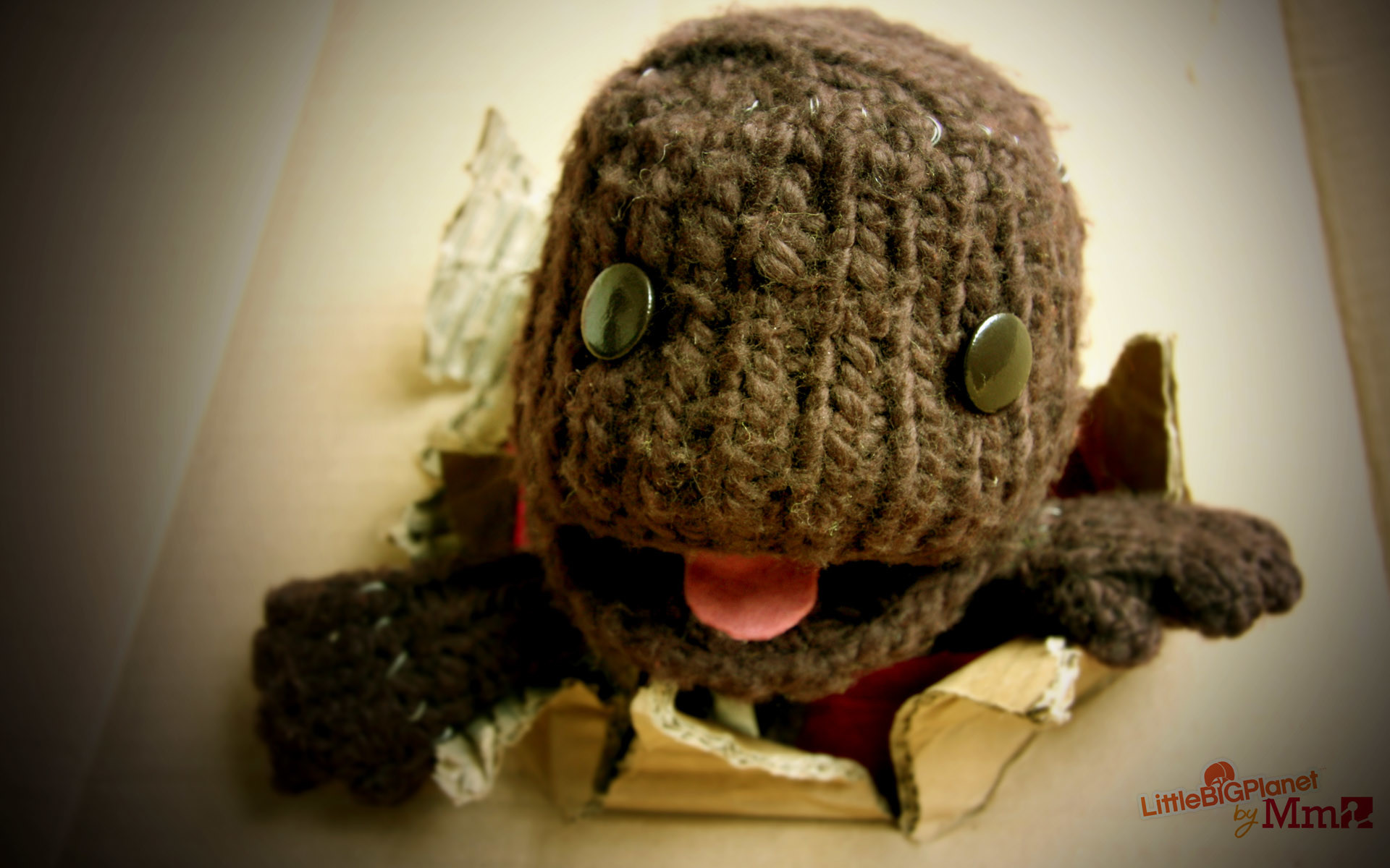 Funny Little Big Planet Sackboy