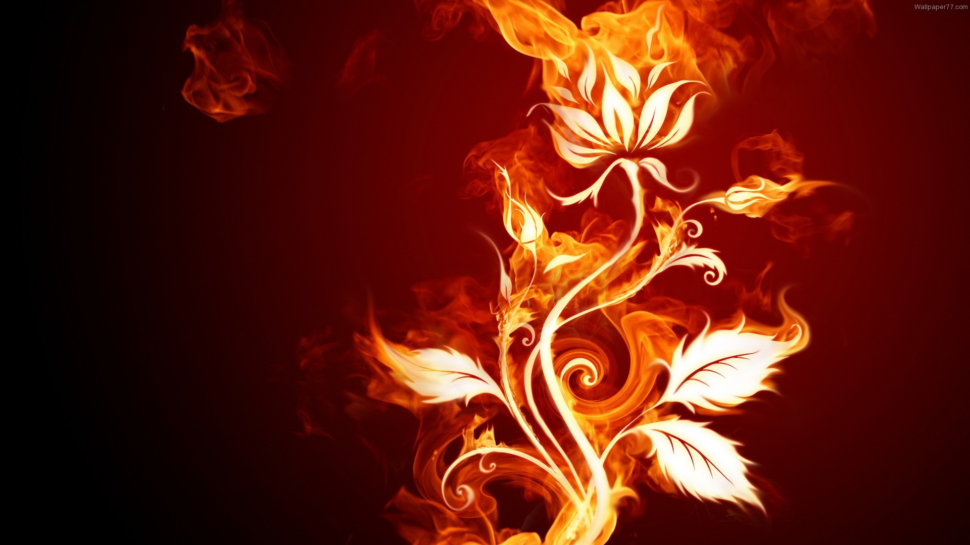 Wallpaper Of Fire Flower