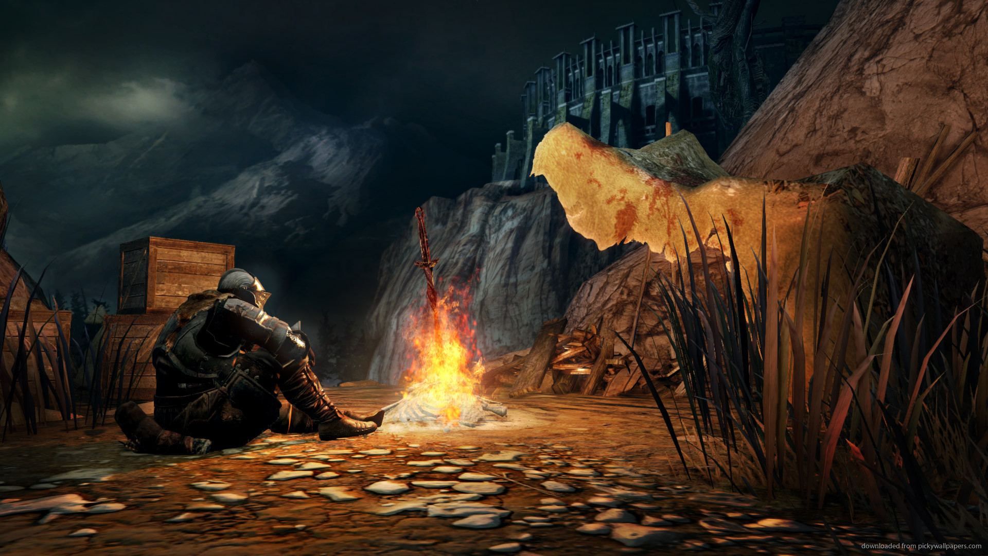 Dark Souls 2 Game Screenshot Wallpaper picture