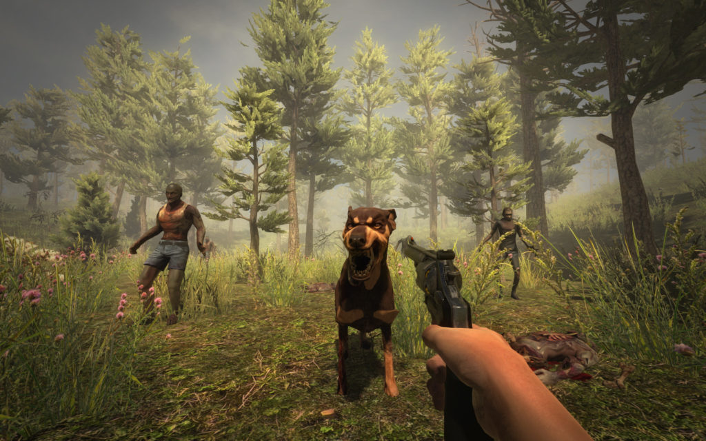 80+ 7 Days to Die