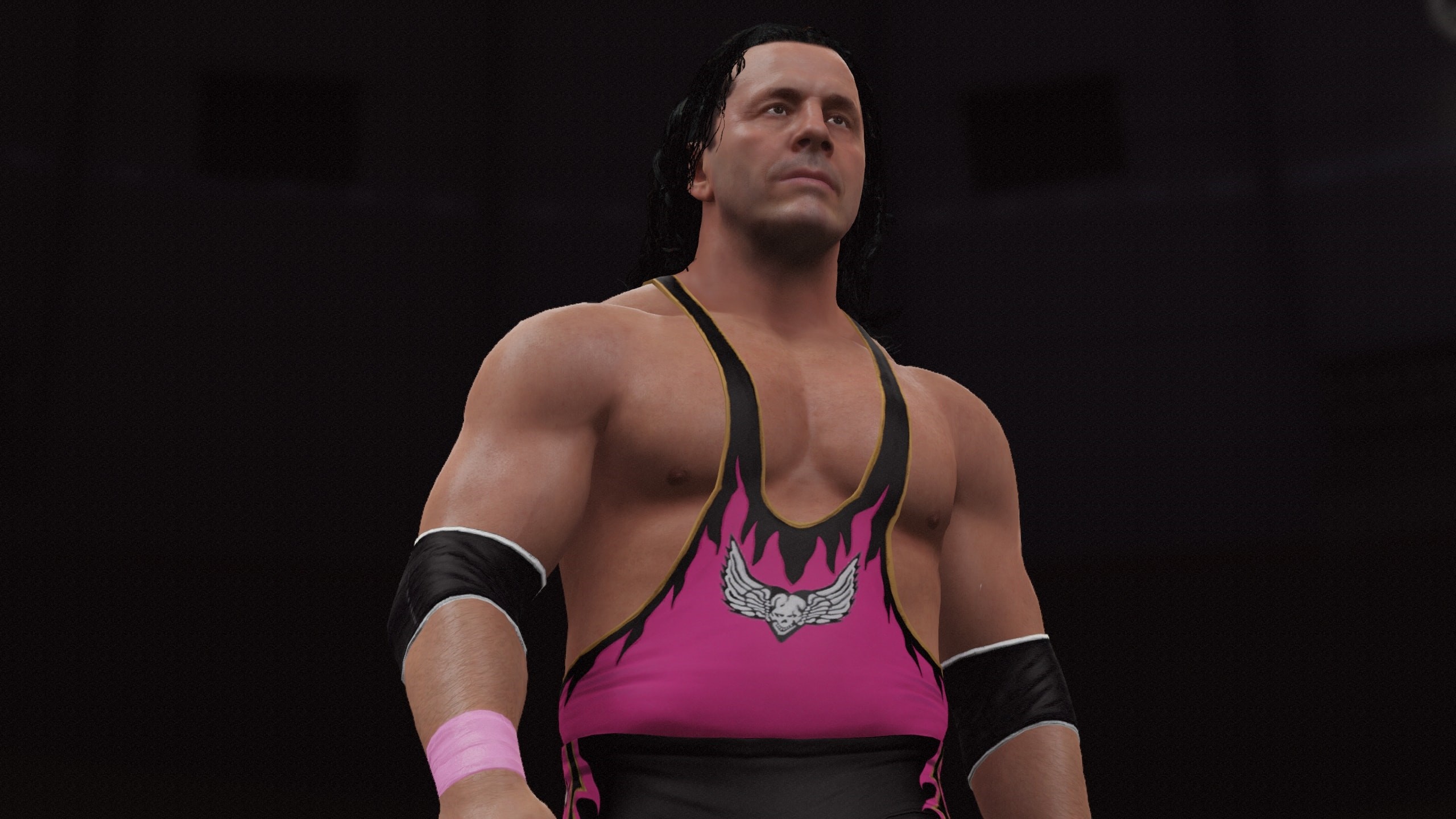 Bret hart hitman art