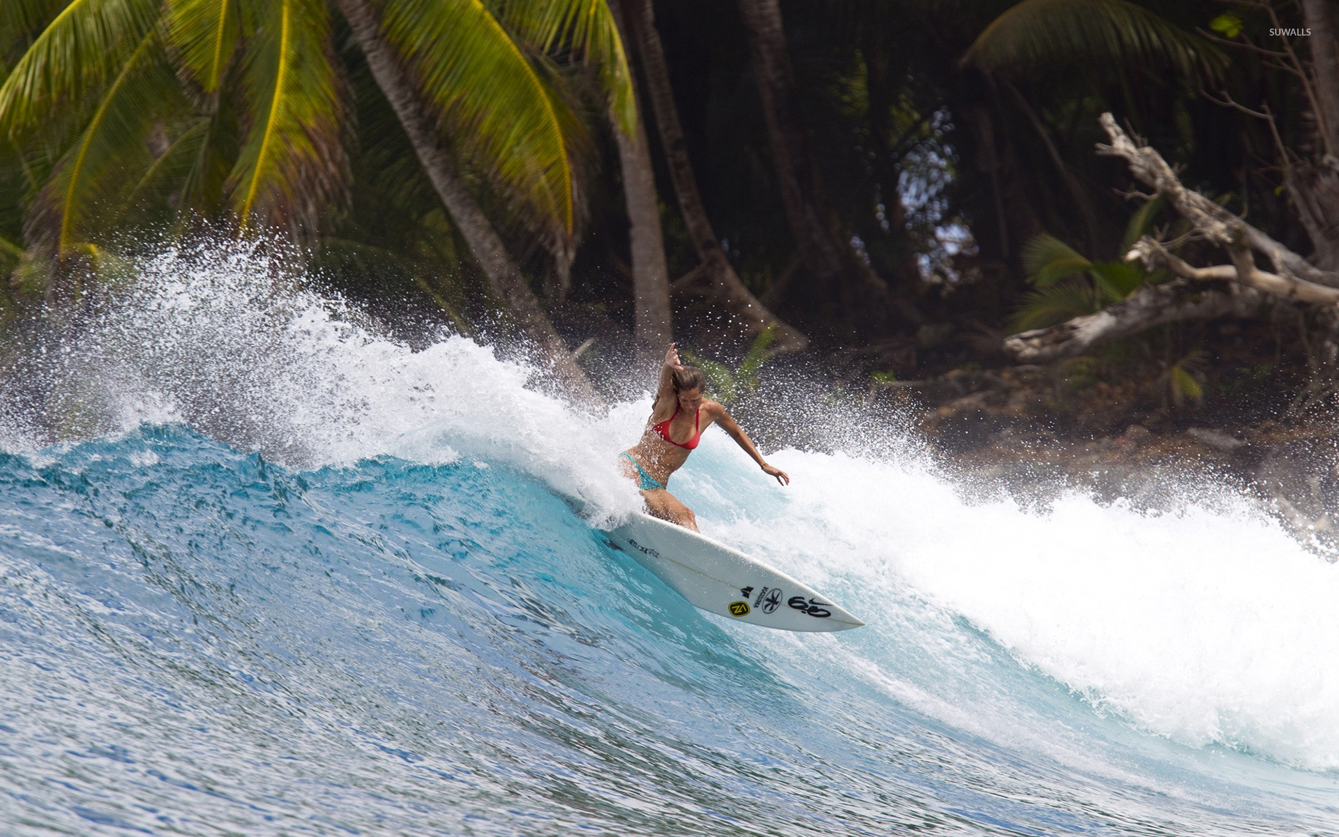 Girl surfing wallpaper jpg