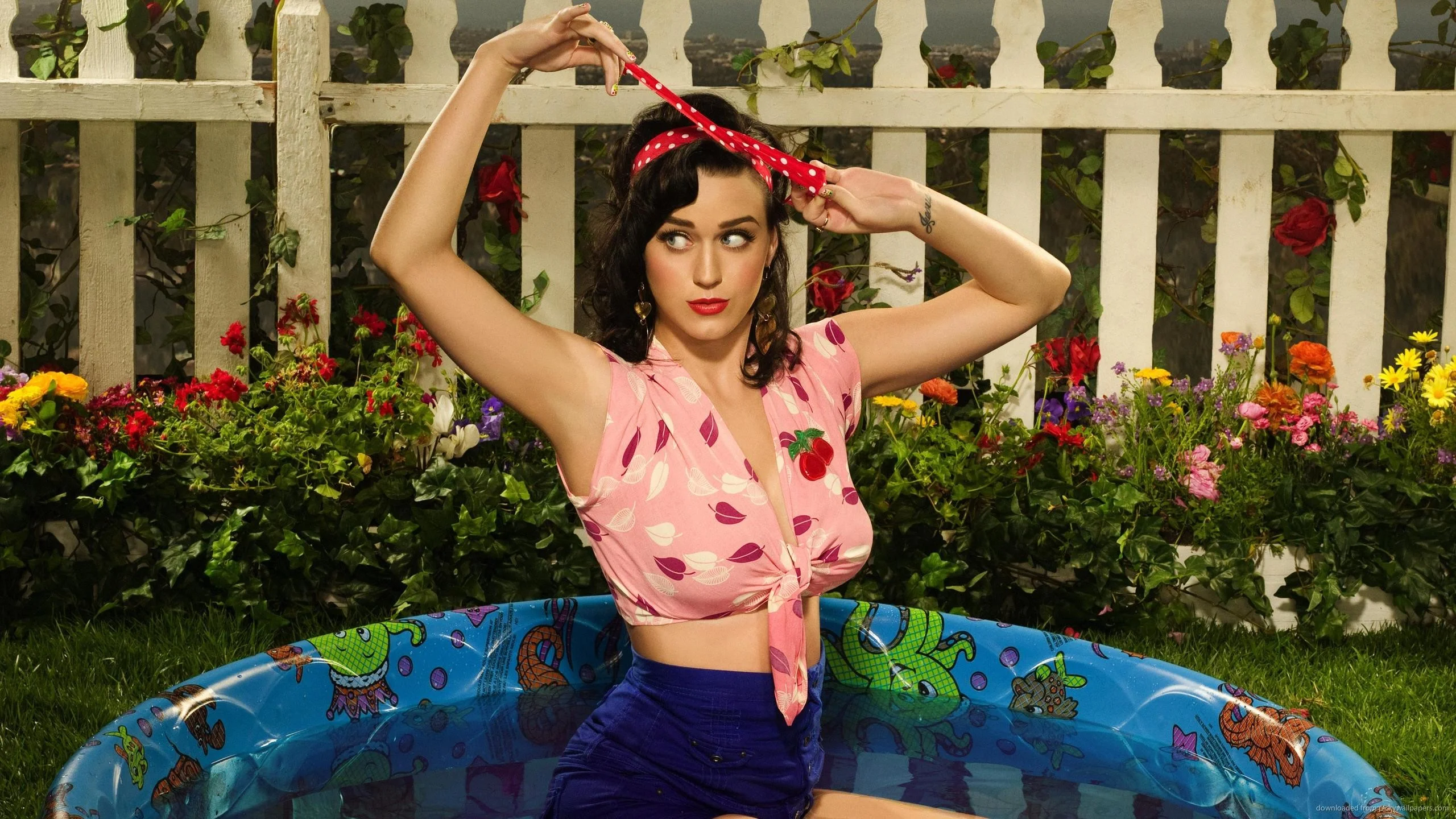 Katy Perry Pin Up for 2560×1440