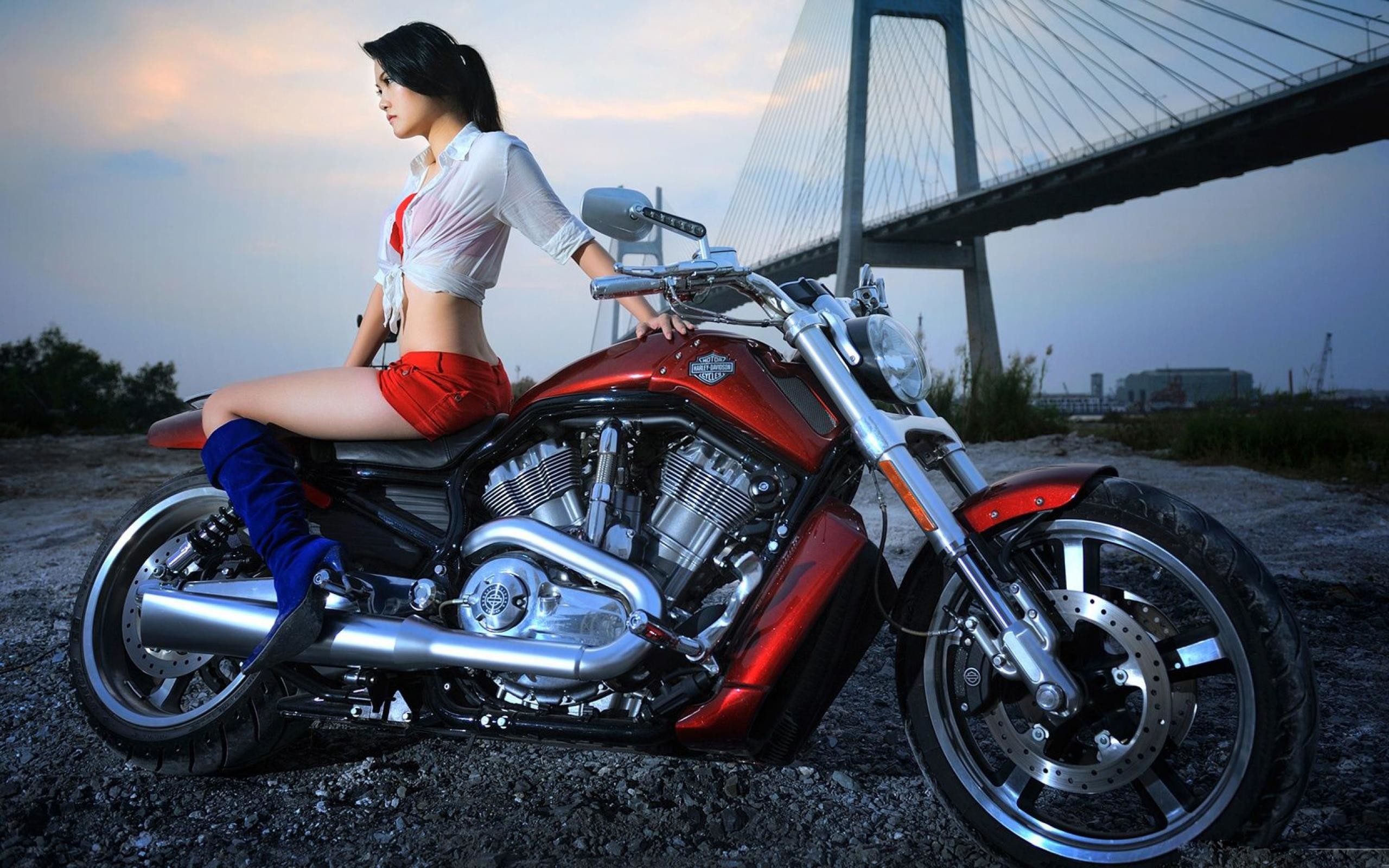 Hottest Harley Girls Download Wallpapers Sexy Girls Music Harley Davidson Motorcycles Best