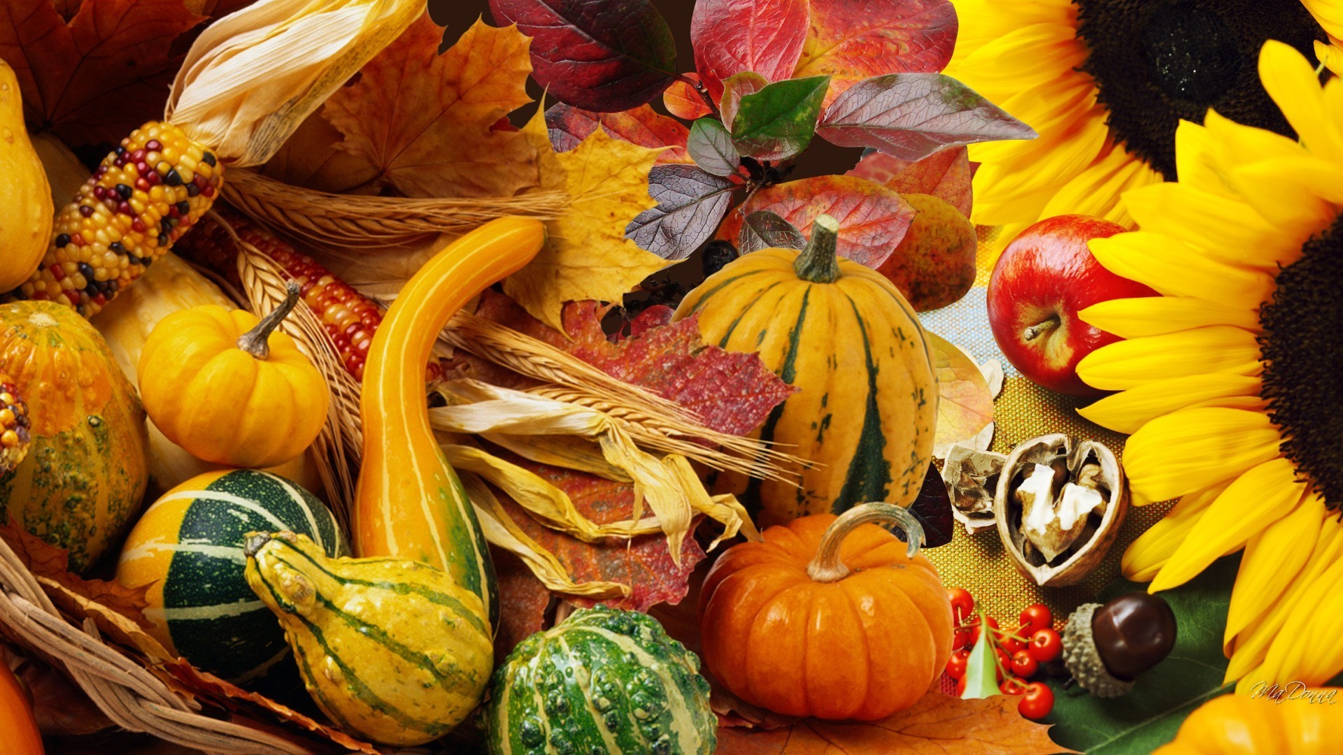 Thanksgiving Tag – Autumn Vegetables Fall Pumpkin Nuts Leaves Garden Apples Harvest Squash Sunflowers Acorns Gourds