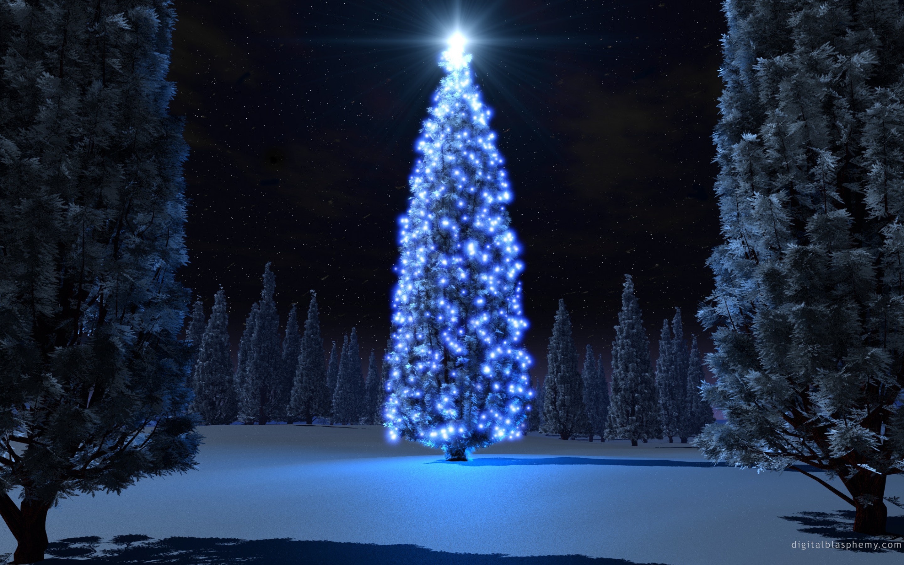 Beautiful Christmas Trees and Starlight Photo Gallery HD Wallpaper Widescreen
