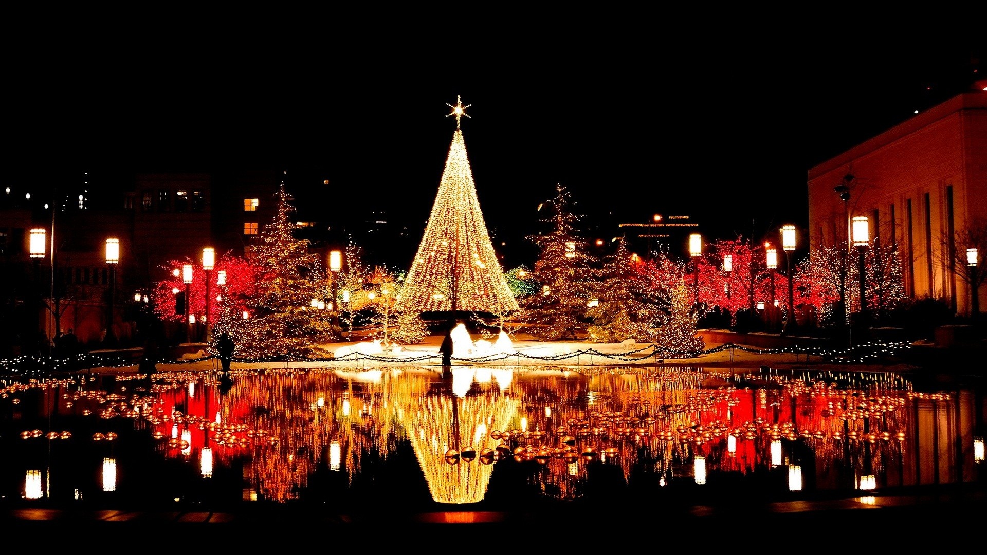 Christmas reflection light 1080p hd photos