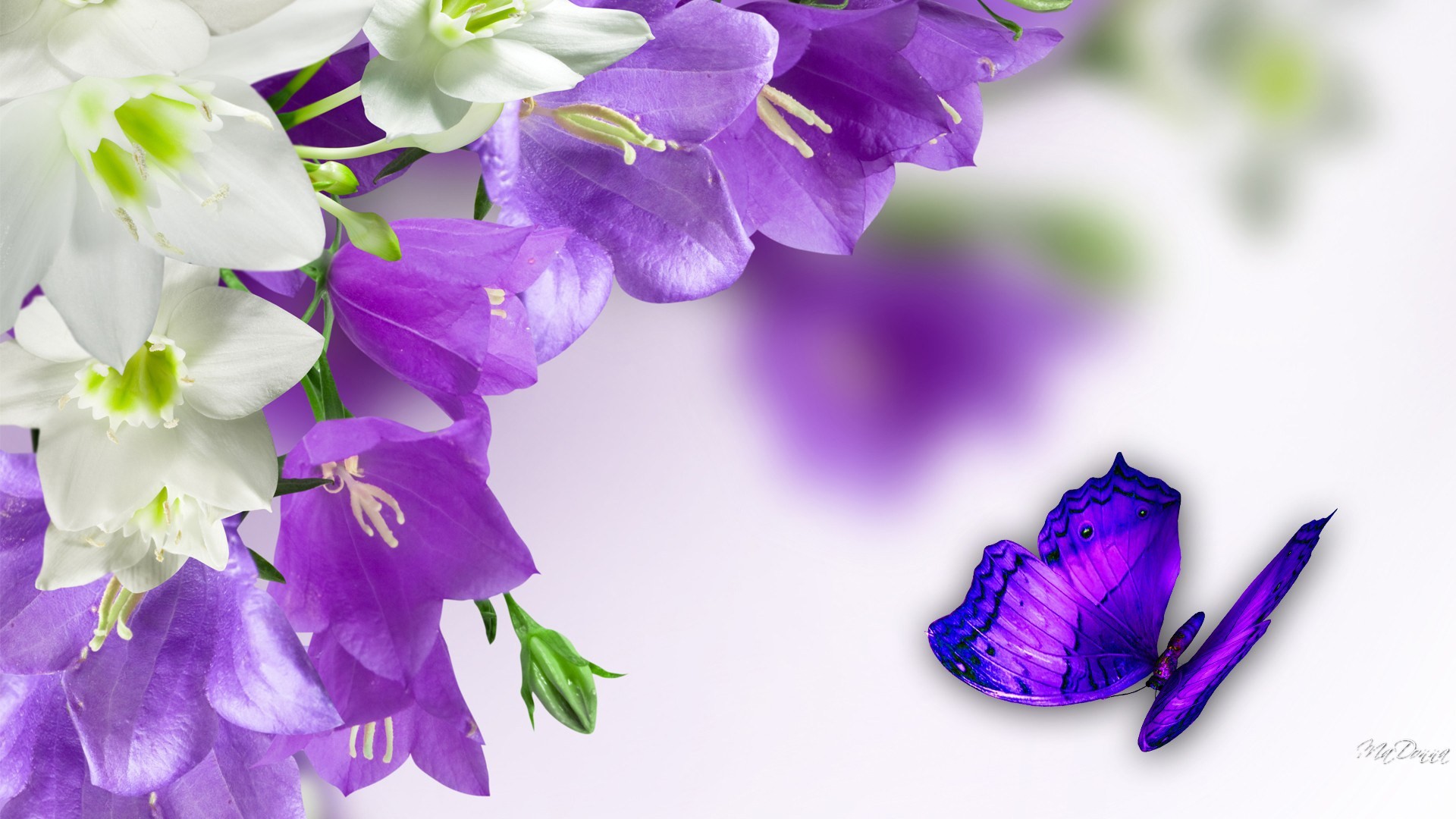 Cool Purple Butterfly wallpapers – The Cool Art Â· Easter FlowersLilies …