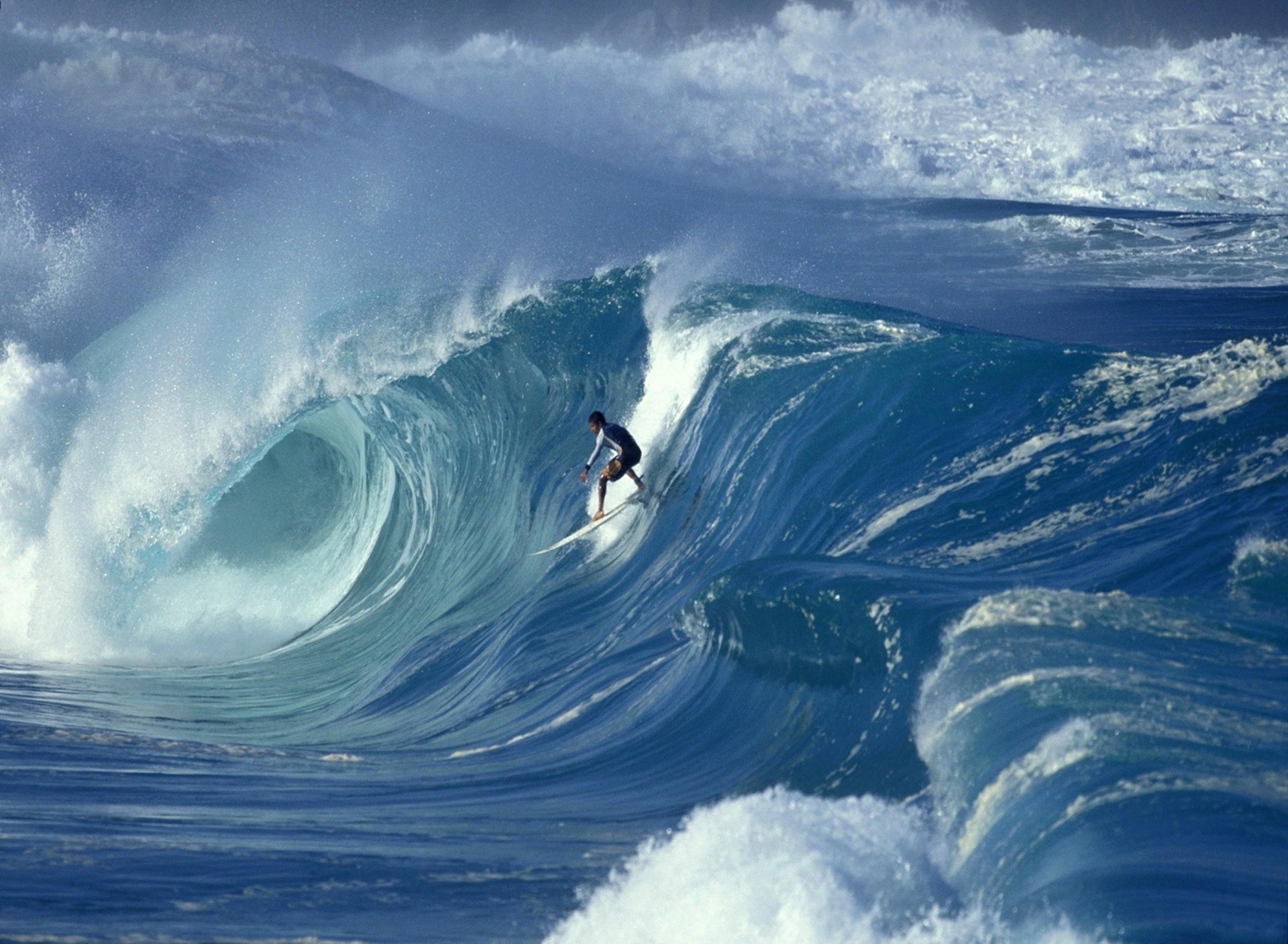 Surf free Screensaver wallpaper