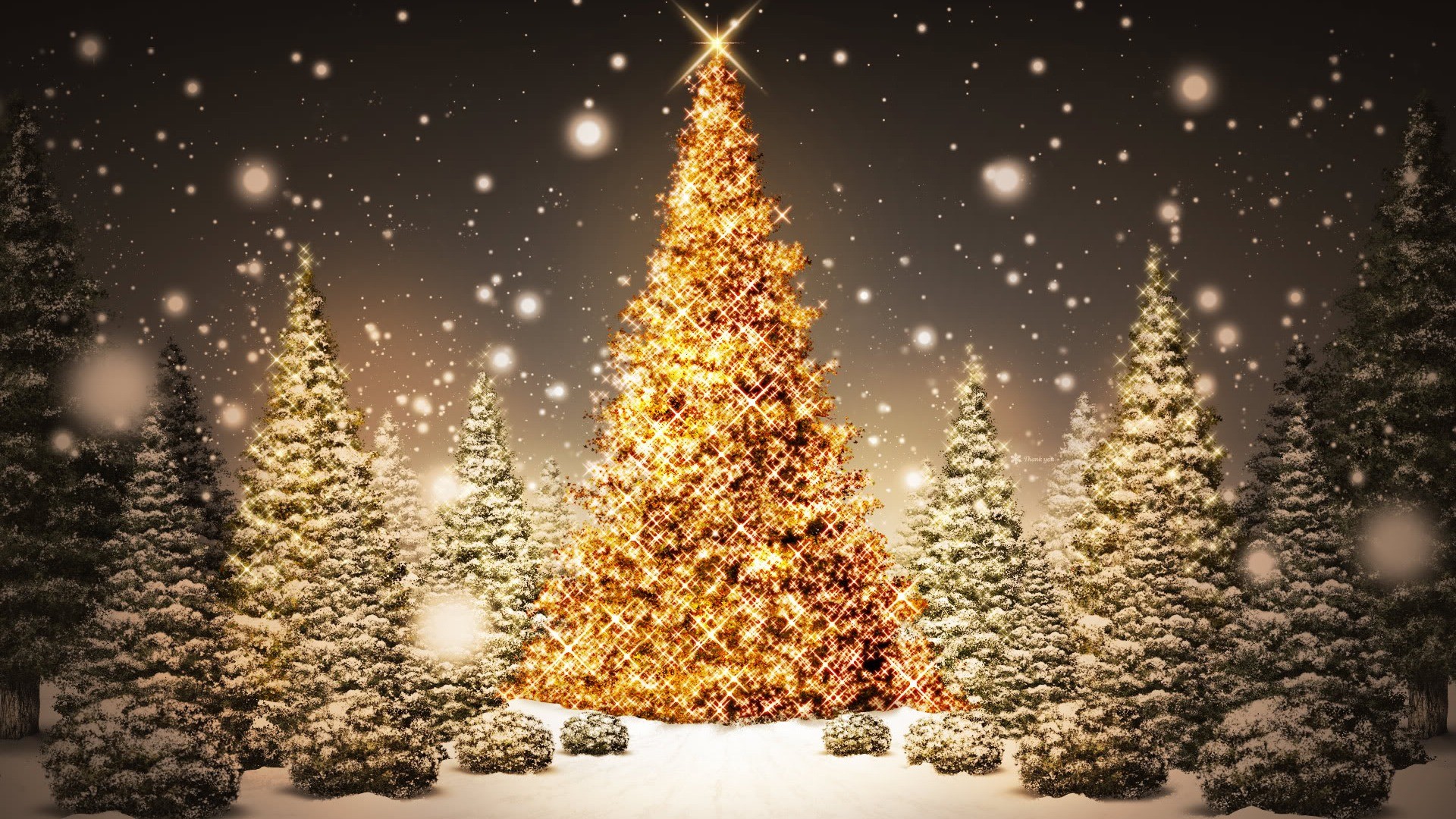 White Christmas Tree Lights Wallpaper 14