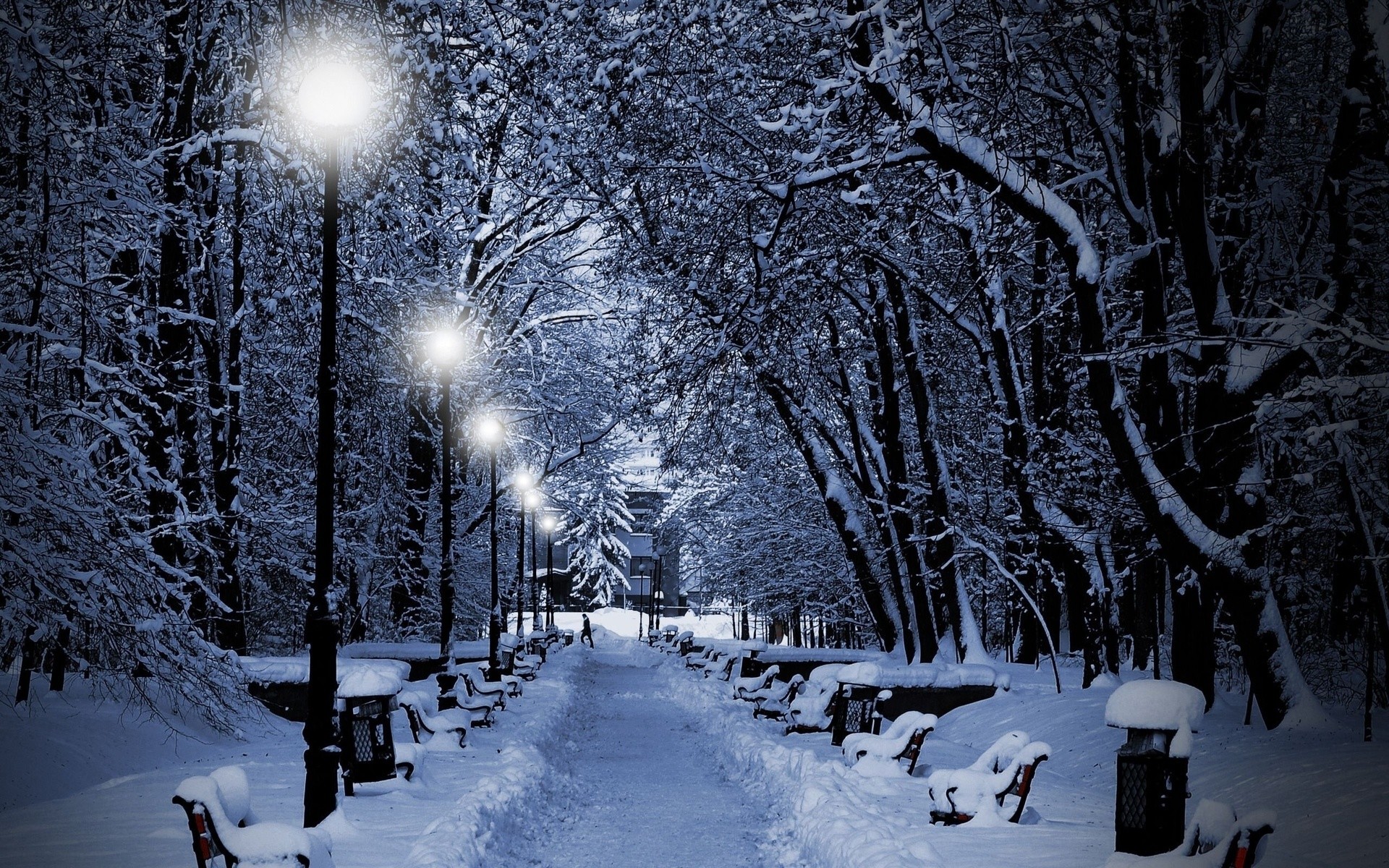 Landscapes nature winter snow snowflakes snowing trees park white night lights christmas wallpaper 24142 WallpaperUP