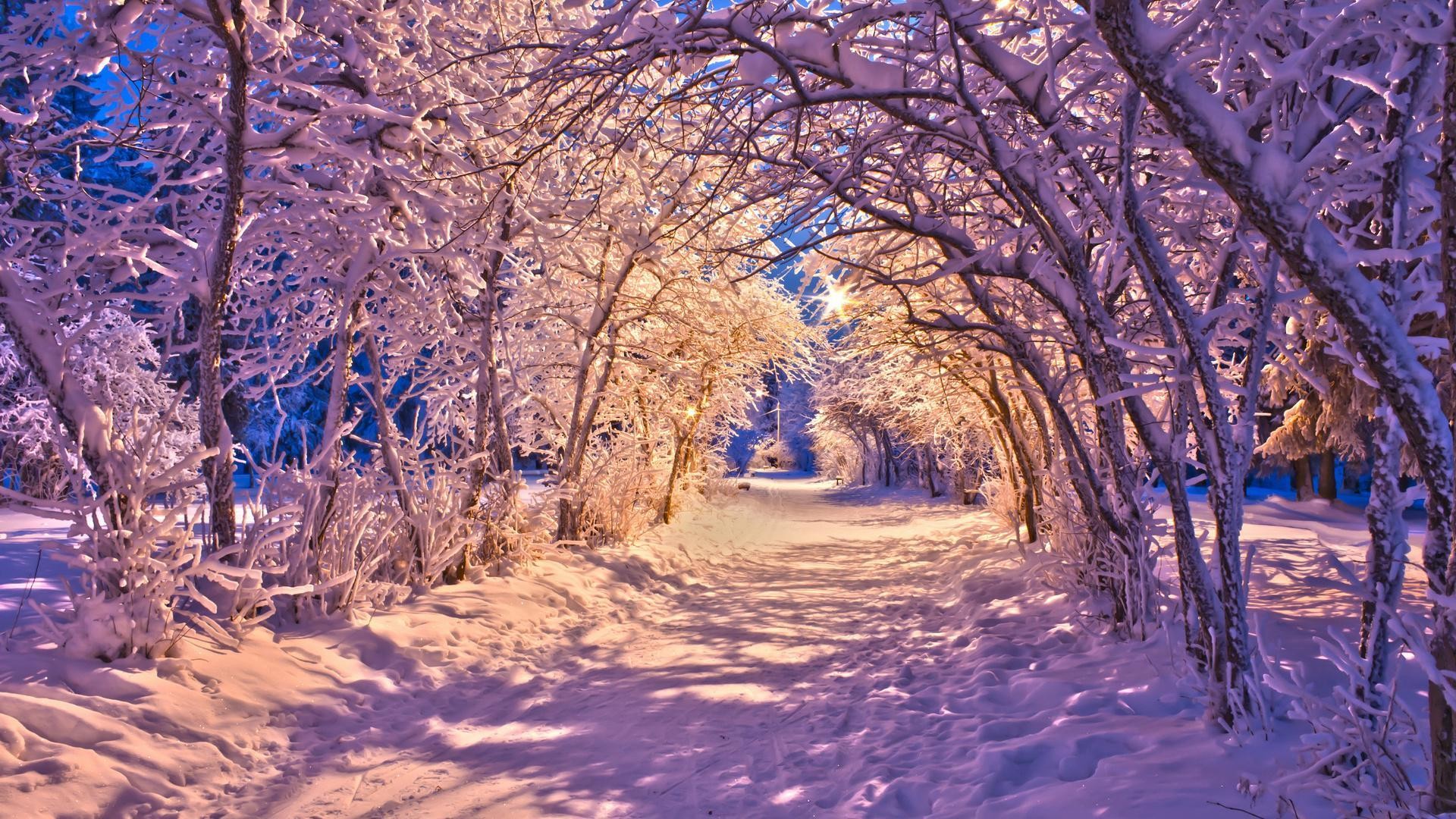 Nature Landscapes Winter Snow Christmas Sidewalk Roads Lights White Trees  Desktop Images