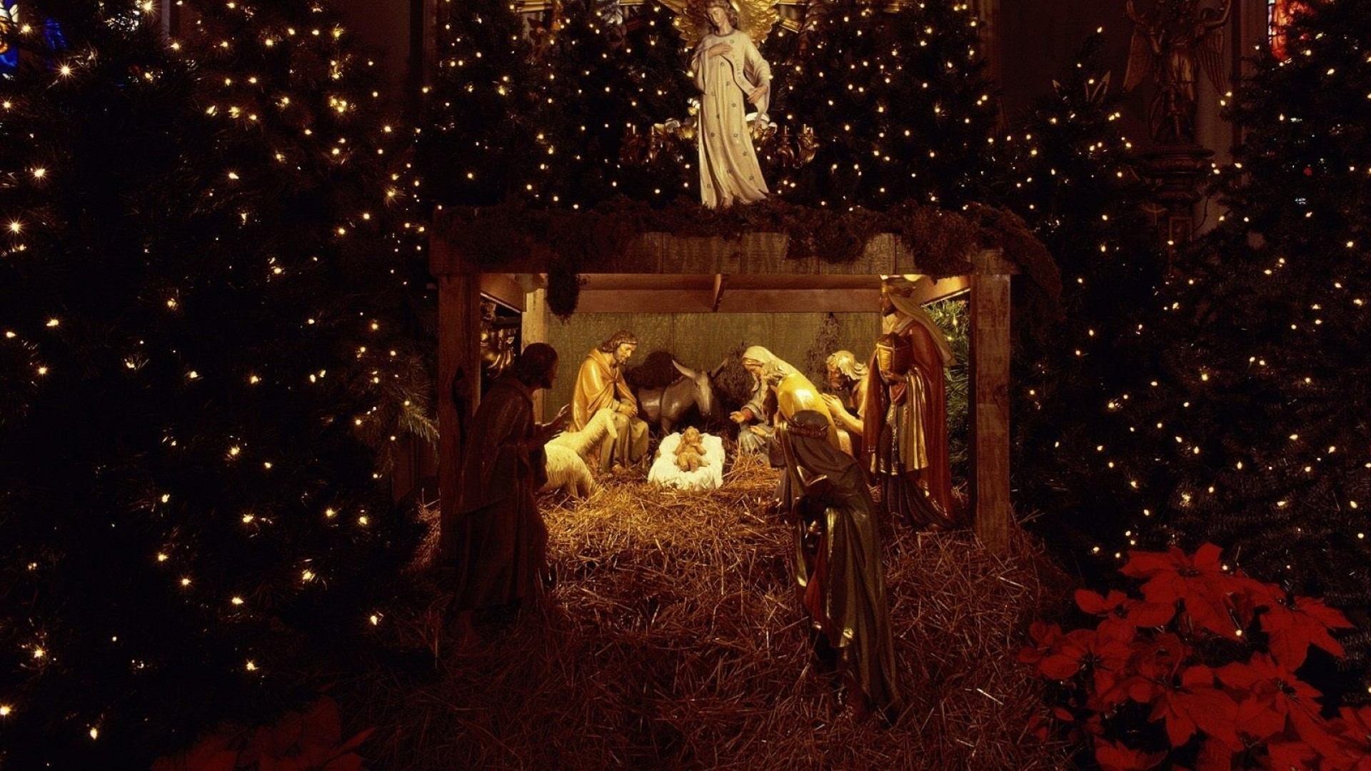 Preview wallpaper christmas, jesus, nurseries, christmas trees, garland, holiday, people