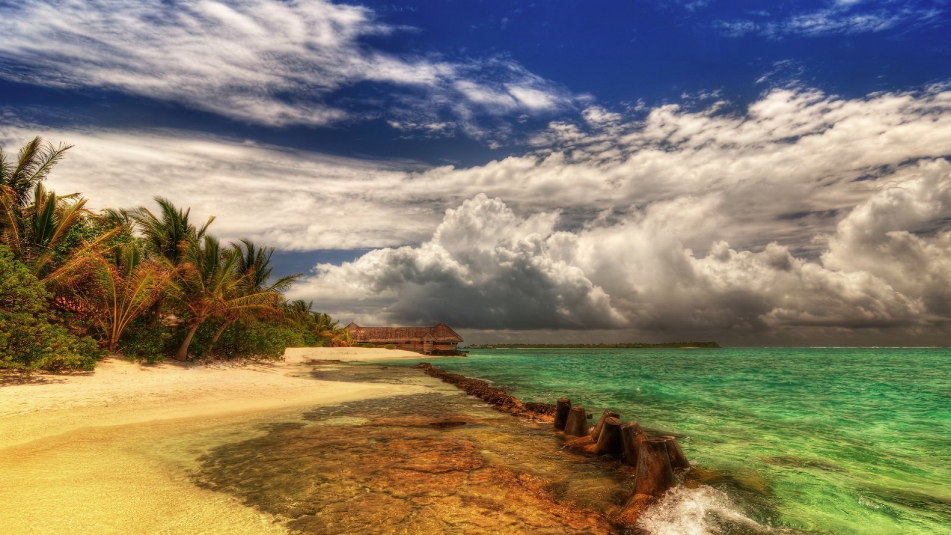 Wallpaper beach, palm trees, coast, sea, colors