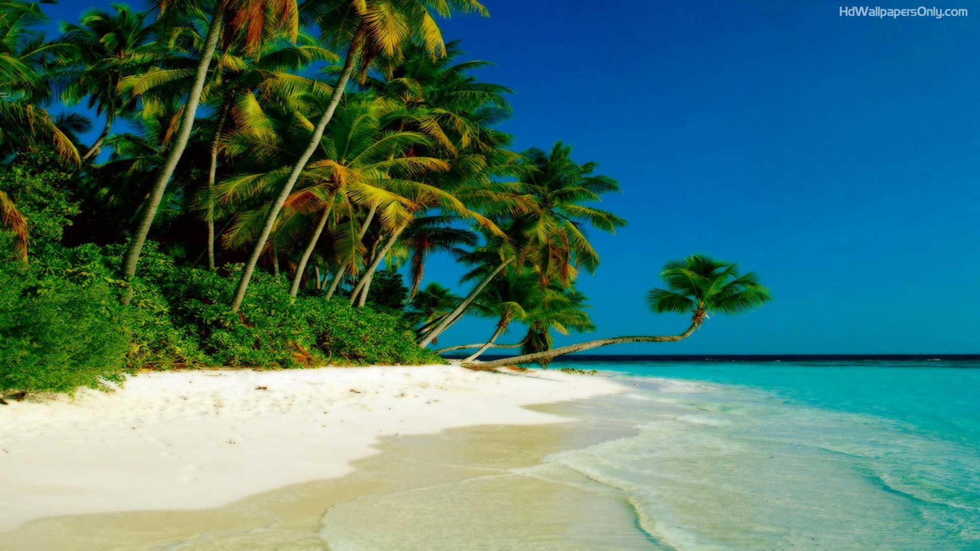 Beaches Islands HD Wallpapers Beach Desktop Backgrounds,Stock 19201080 Beach Hd Wallpaper