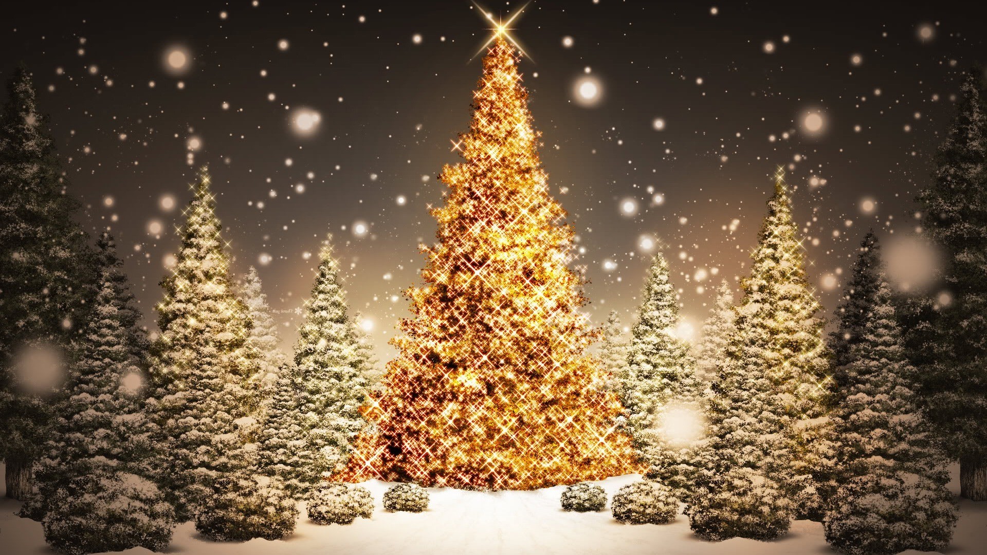 Christmas Tree HD Widescreen Wallpaper