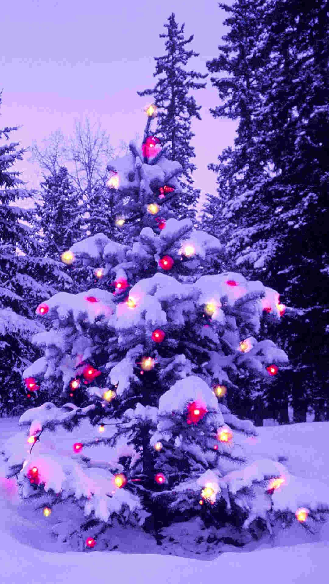 Pink light 2014 Christmas tree iPhone 6 plus wallpaper – nature # Christmas #