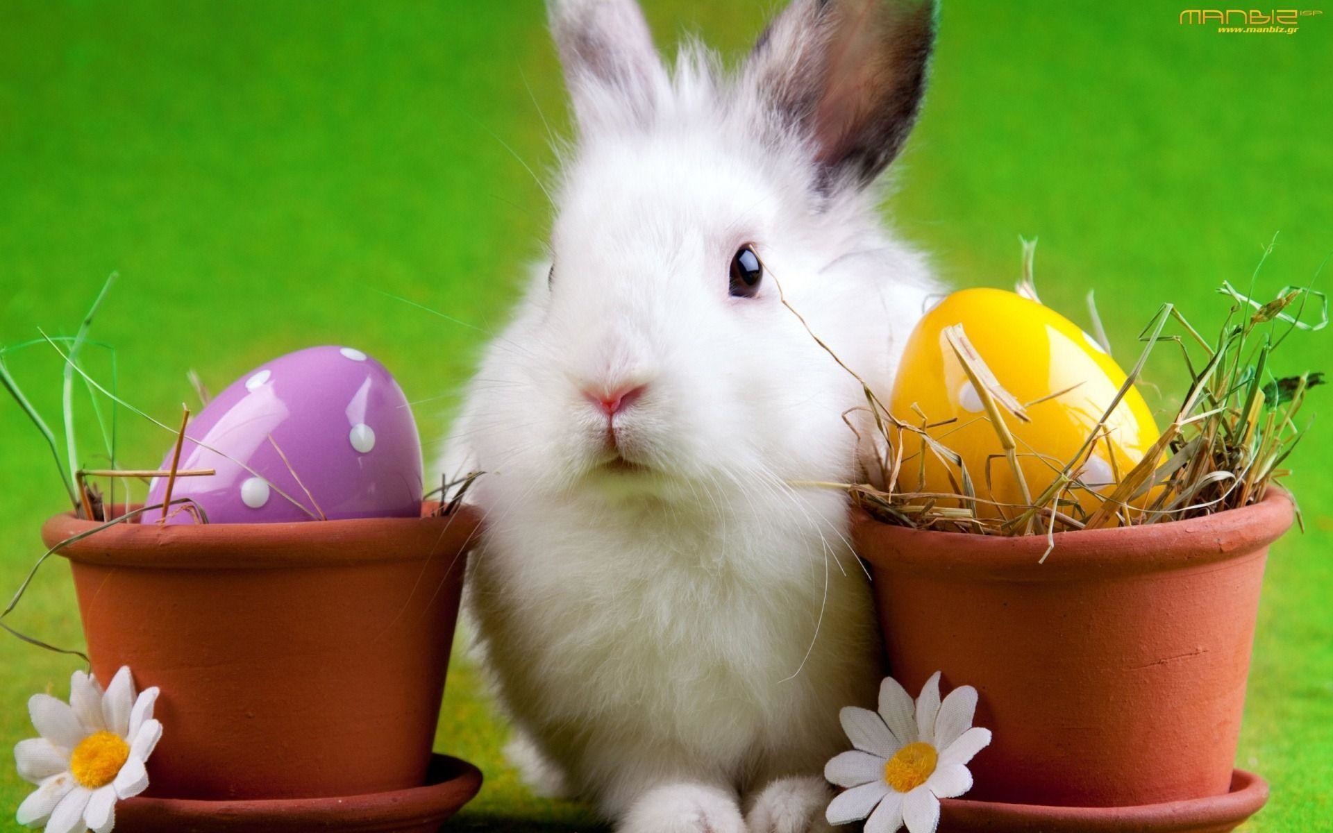 Easter Wallpapers and Backgrounds by Pastime Gaming